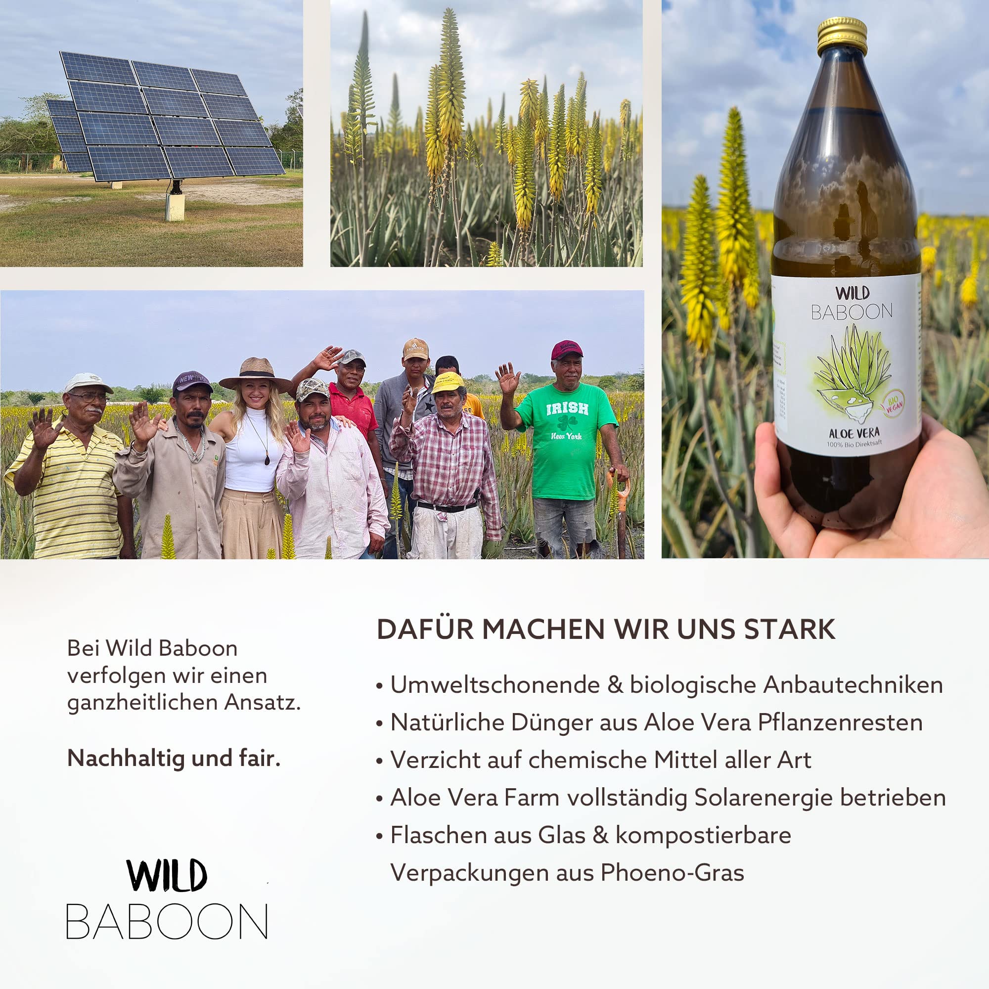 Aloe Vera Saft, 100% BIO Direktsaft, garantierte Aloverose: 1200mg/Liter, 6 x 1 Liter, nachhaltiger Anbau durch Familienbetrieb, Braunglas, Vegan, DE-ÖKO-005