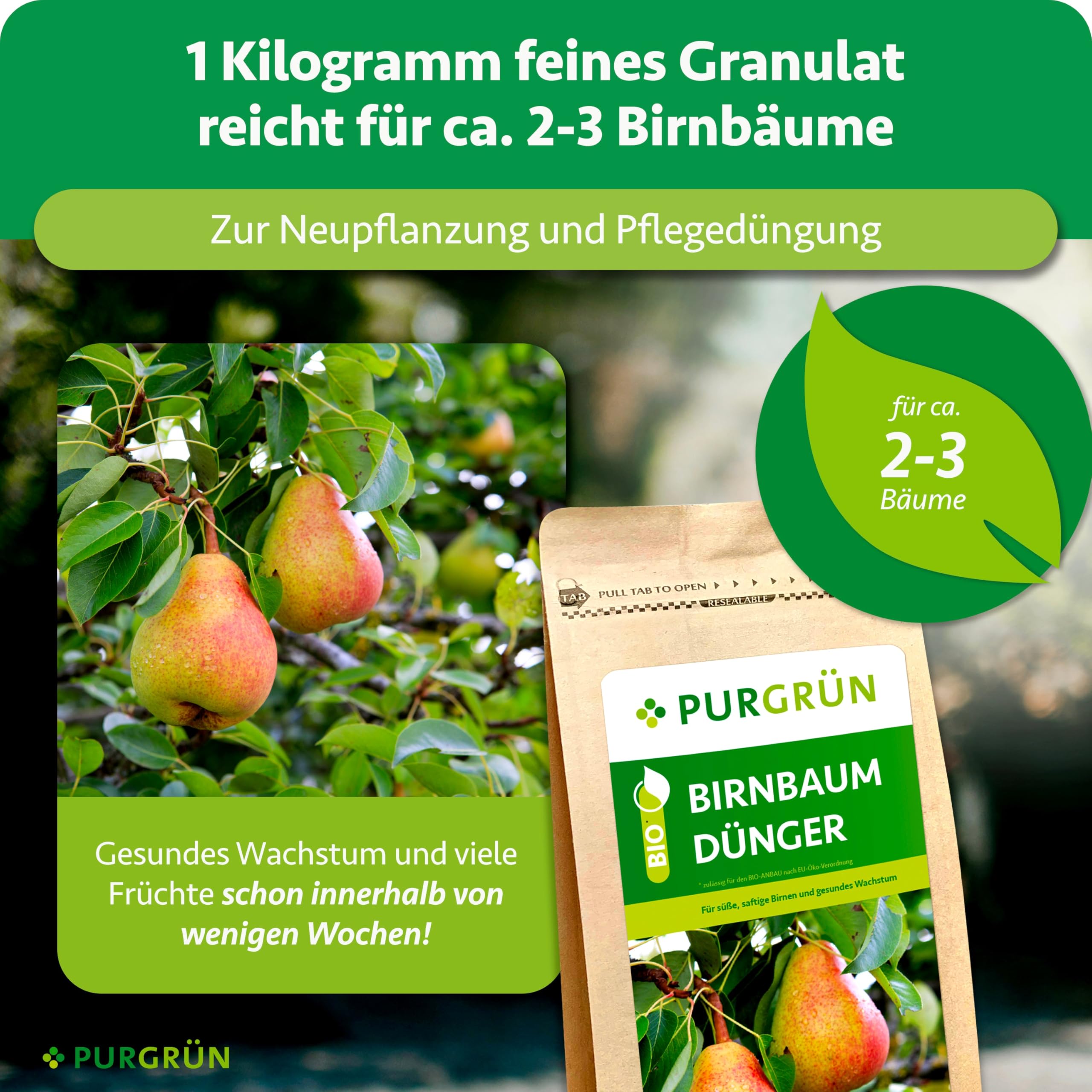Bio-Birnen-Dünger 1 kg – Organisch-mineralische Rezeptur – Feinkörniges Krümelgranulat – NPK 6+3+8 – Mit Magnesium für saftig süße Birnen – Verbessert die Bodenqualität