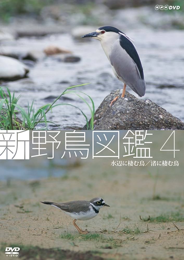 新 野鳥図鑑 第4集 水辺に棲む鳥/渚に棲む鳥 [Blu-ray] 2mvetro Amazon.co.jp: 新 野鳥図鑑 第4集 水辺に棲む鳥/渚に棲む鳥 [DVD