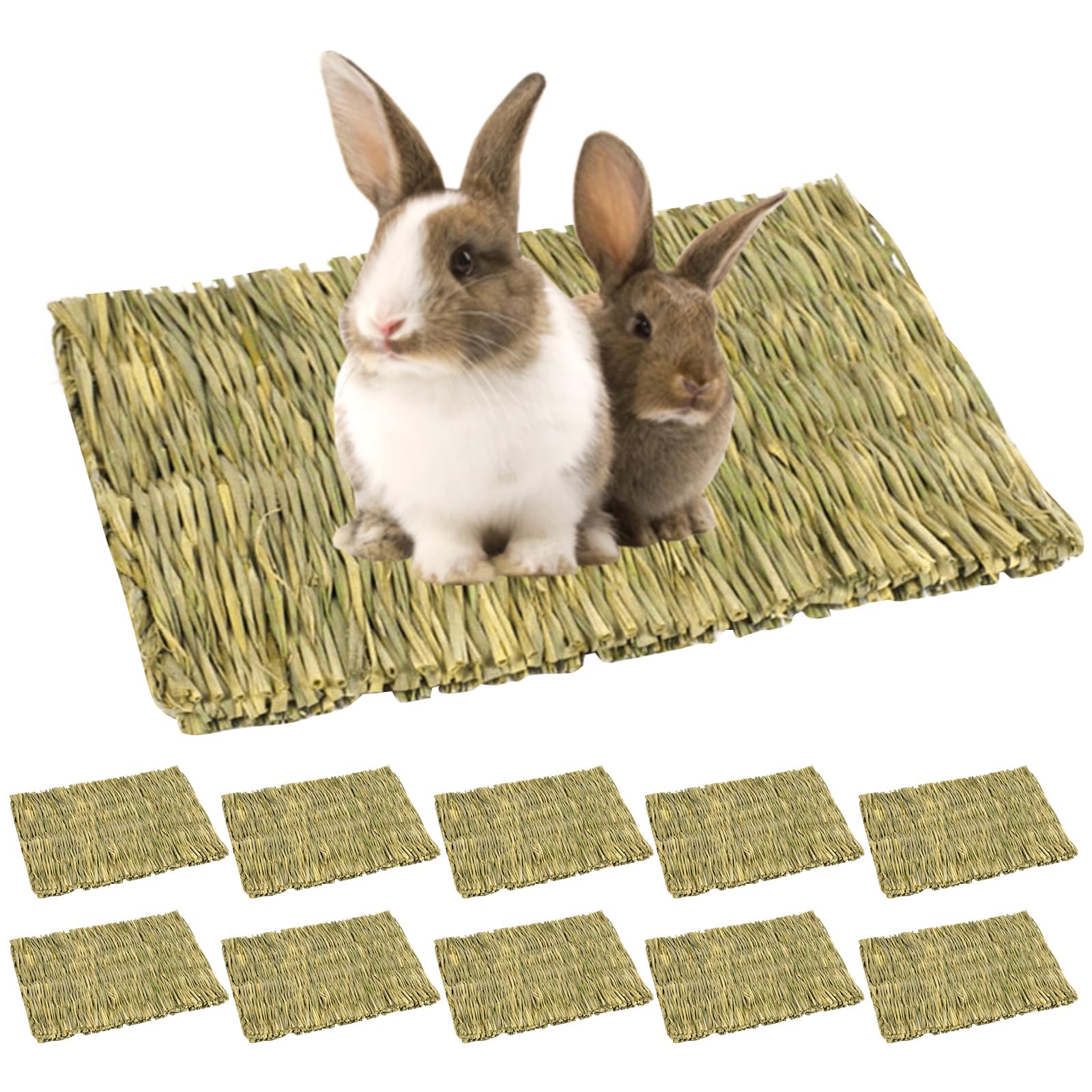 Lot De 10 Tapis D'herbe Pour Les Lapins, Tapis Tissé Pour Petits Animaux, Tapi D'herbe Pour Petits Animaux, 28 X 20cm Tapi D'herbes Naturel Tissé À La Main Pour Hamster, Cochon, Lapin Et Perroquet