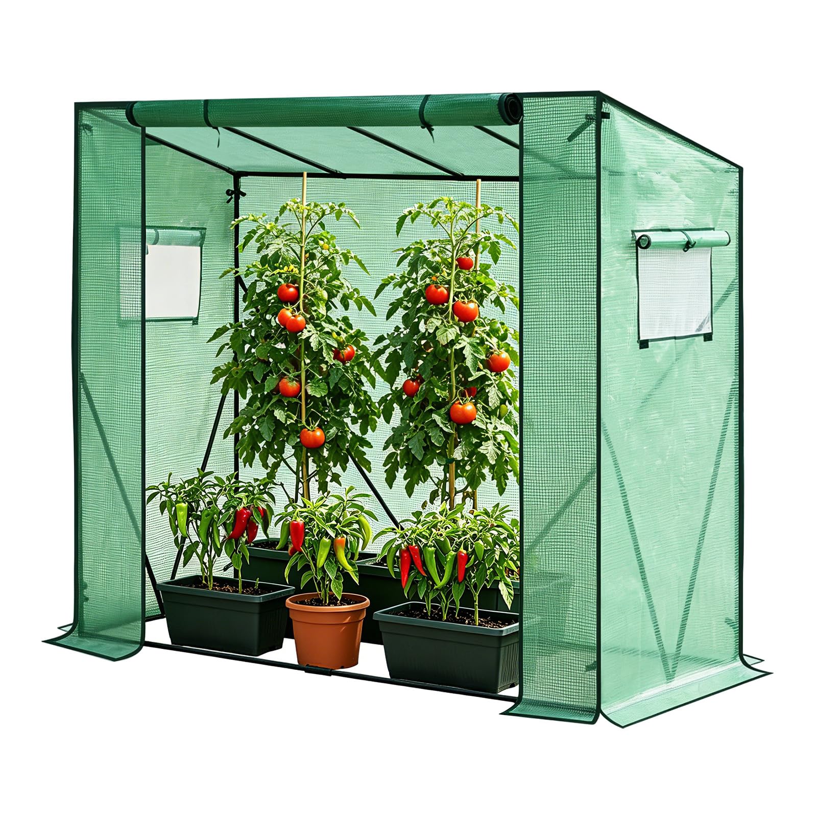 WOLTU Zielona szklarnia ogrodowa na zewnątrz, 200 x 77 x 146/169 cm, szklarnia pomidorowa z zwijanymi drzwiami i 2 oknami, 4 śledzie do podłoża, odporna na warunki atmosferyczne, wielofunkcyjna
