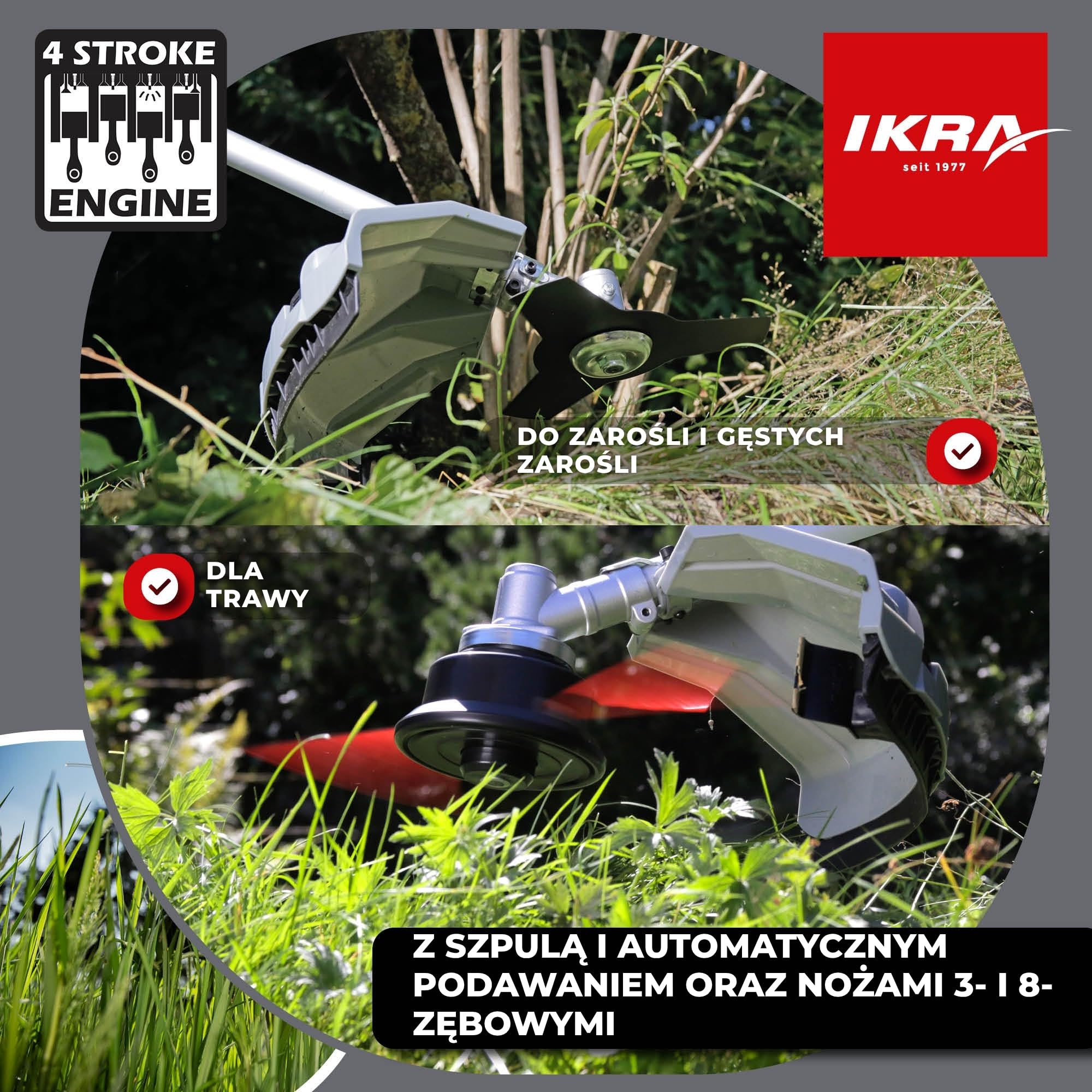 IKRA Podkaszarka spalinowa IBF 31-4, 31 cm³ 0,7 kW bogaty zestaw akcesoriów | W zestawie nóż 3- i 8-zębny, szpula, profesjonalny pas naramienny i osłona, mocny silnik 4-suwowy,łatwy start