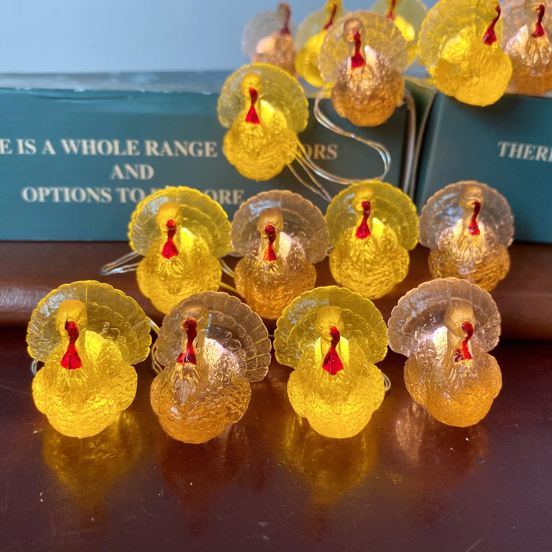 JASHIKA Fall Harvest 3D Turkey String Lights, Cute Decorative Lights ...