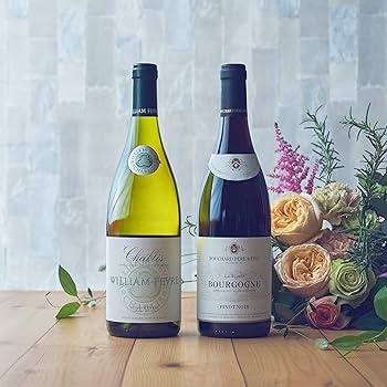 【フランス・ブルゴーニュ】赤白ワイン2本セット・ヴィンテージ品 ブルゴーニュ・ボルドー産紅白ワインセット（ギフトボックス付き