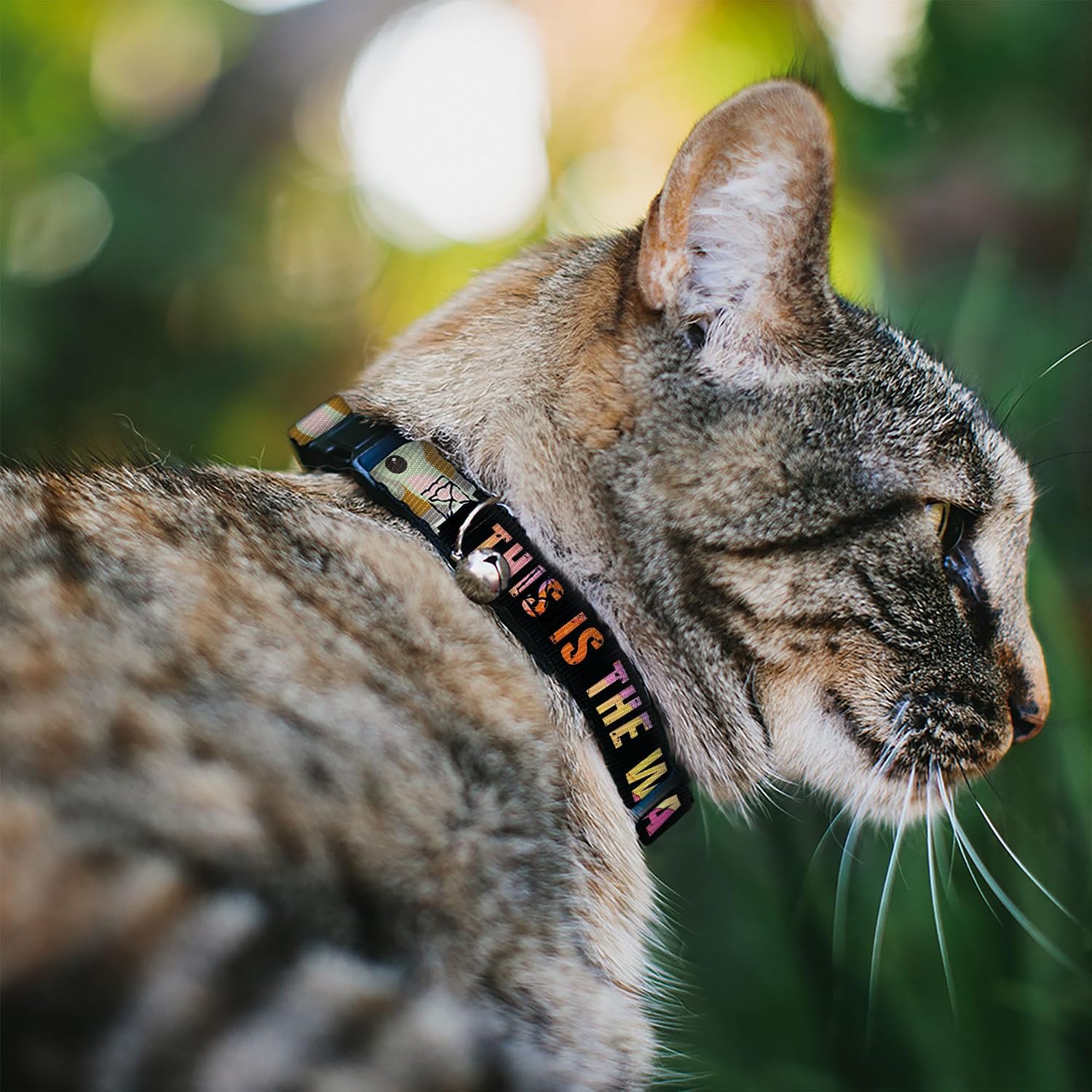 Star Wars Breakaway Cat Collar | Star Wars The Child Chibi Pod Pose This Is The Way Durable Adjustable Bell ID Tag Ring