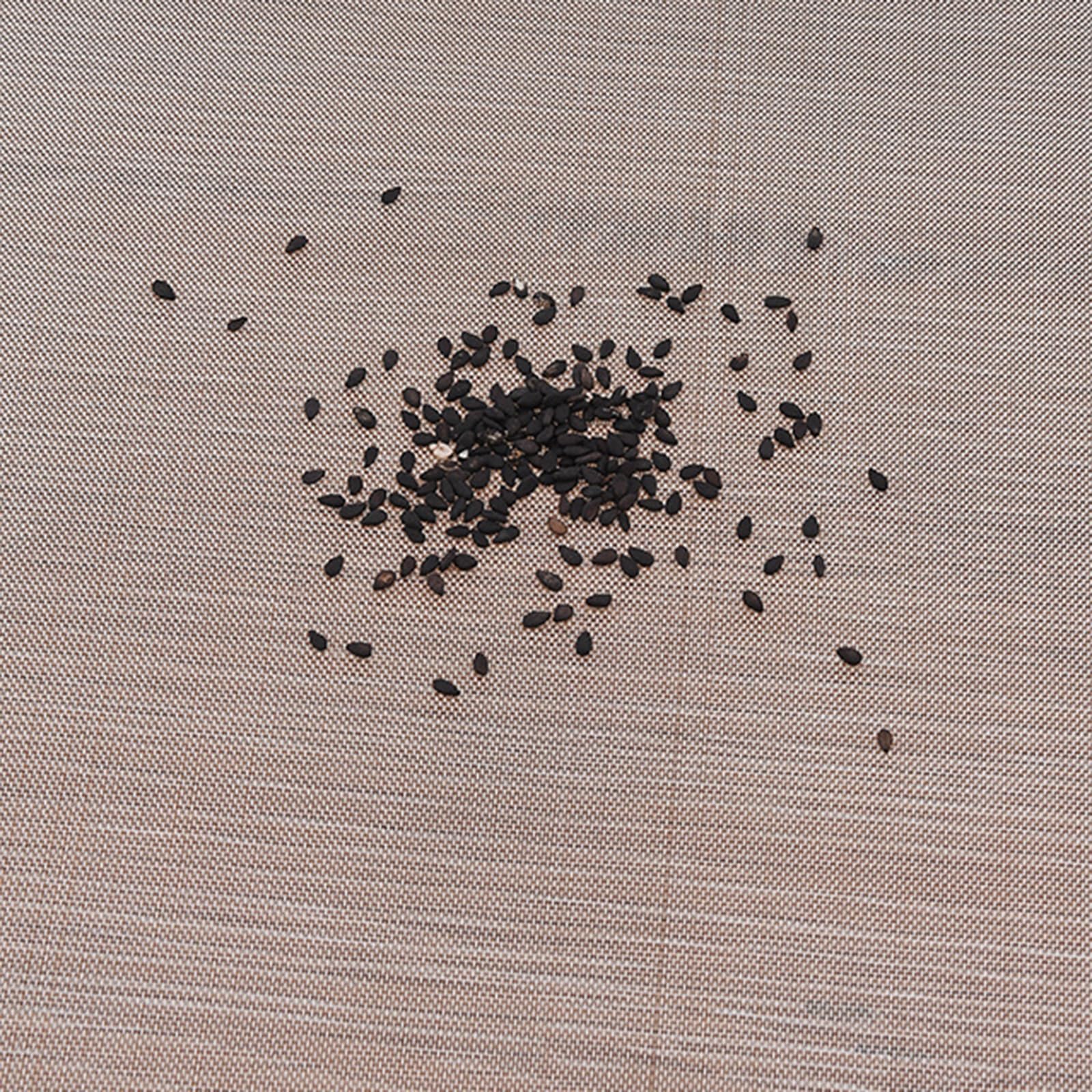 Juego de 4 coladores de harina de acero inoxidable de 15/20/25/30 cm, coladores de harina de alta precisión, 60 coladores de alimentos, colador duradero para hornear y cocinar