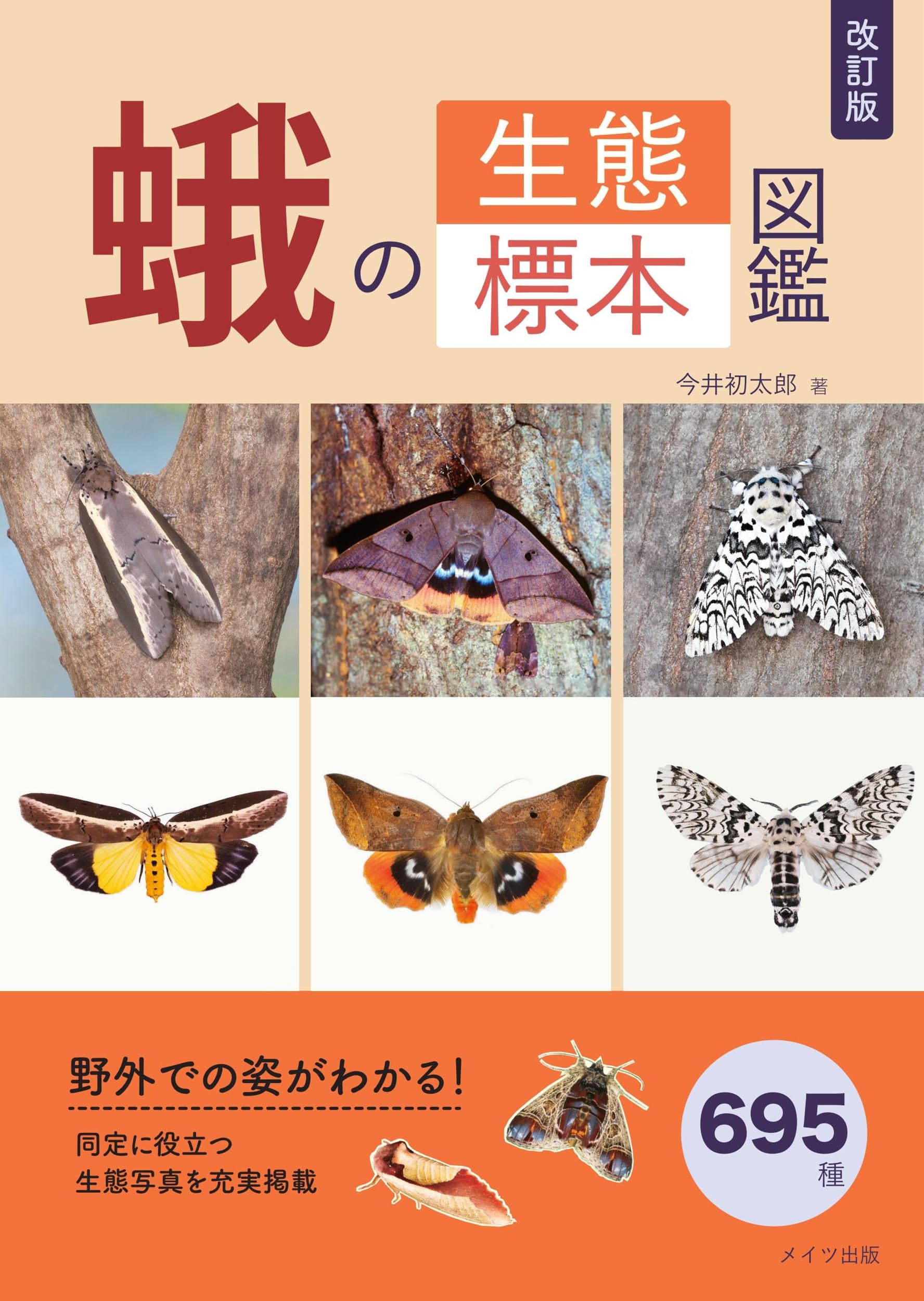 改訂版 蛾の生態標本図鑑 | 今井 初太郎 |本 | 通販 | Amazon