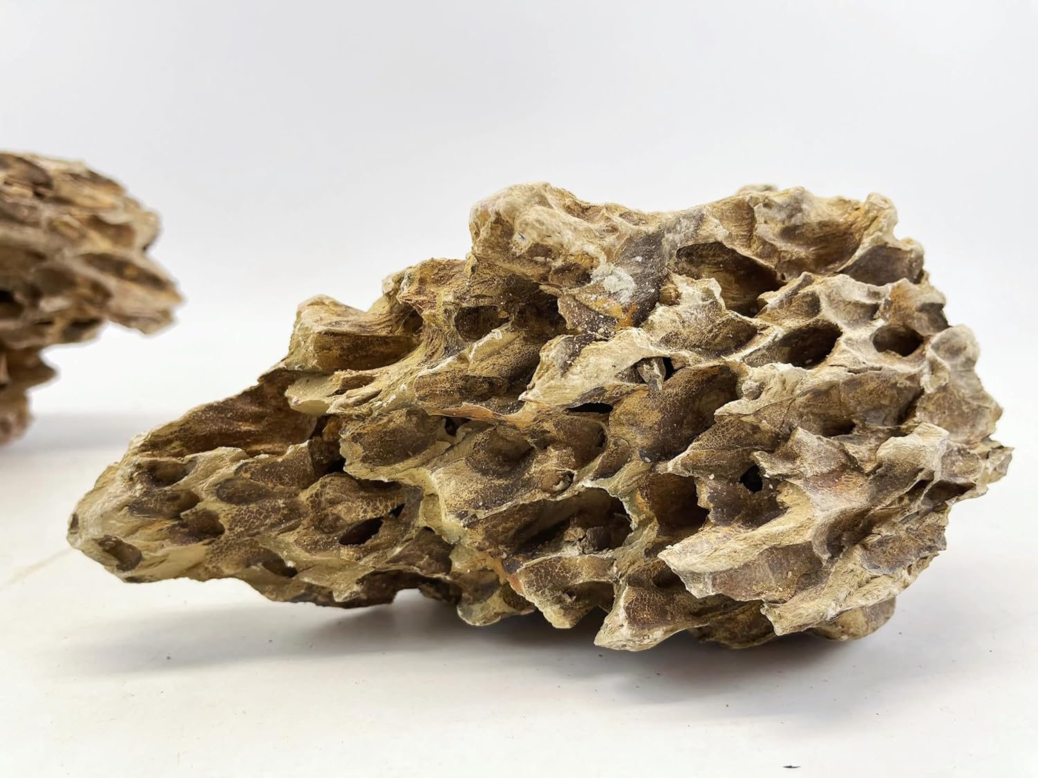 Small Dragon (Ohko) Stone (10 lbs)