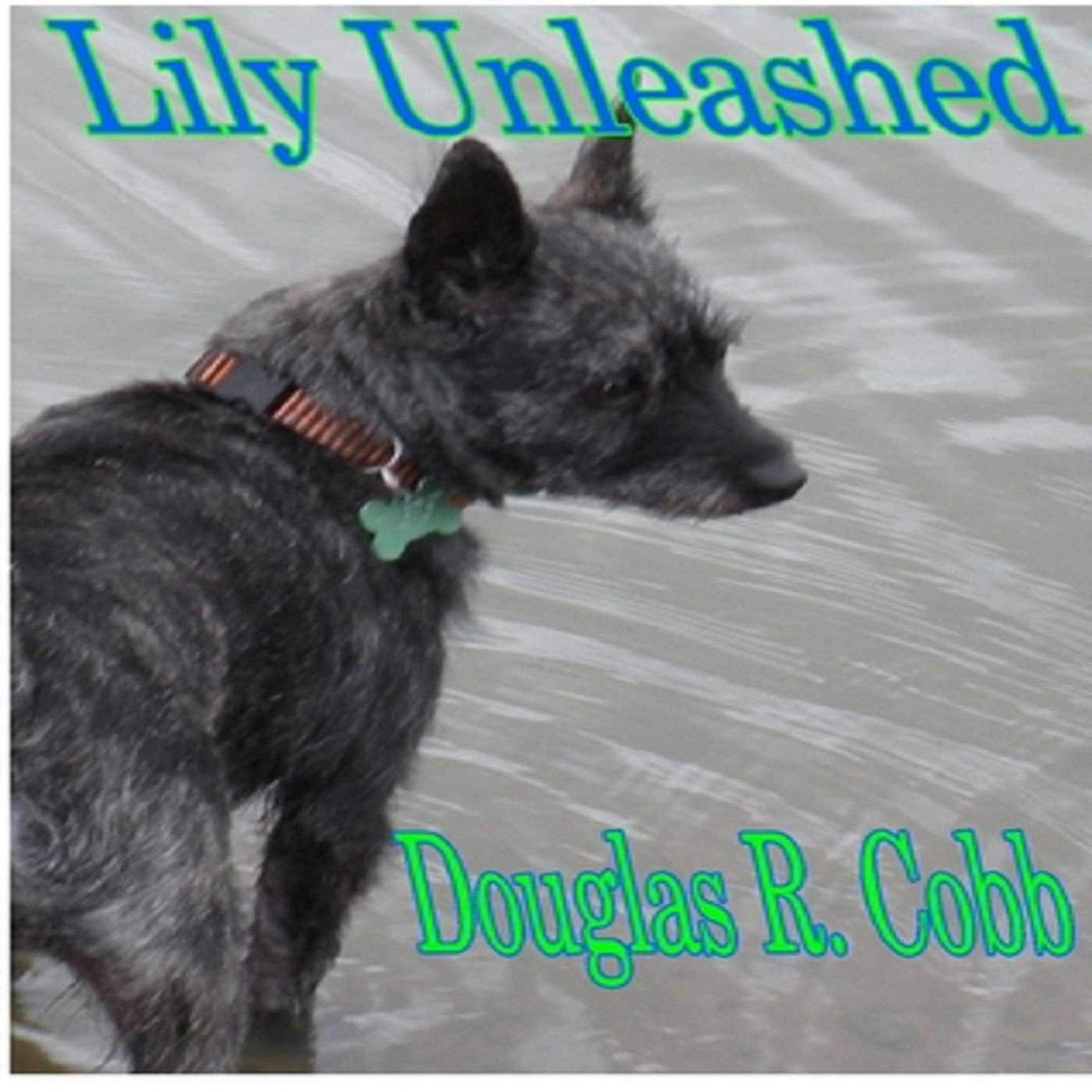 Cover art for Lily, Unleashed