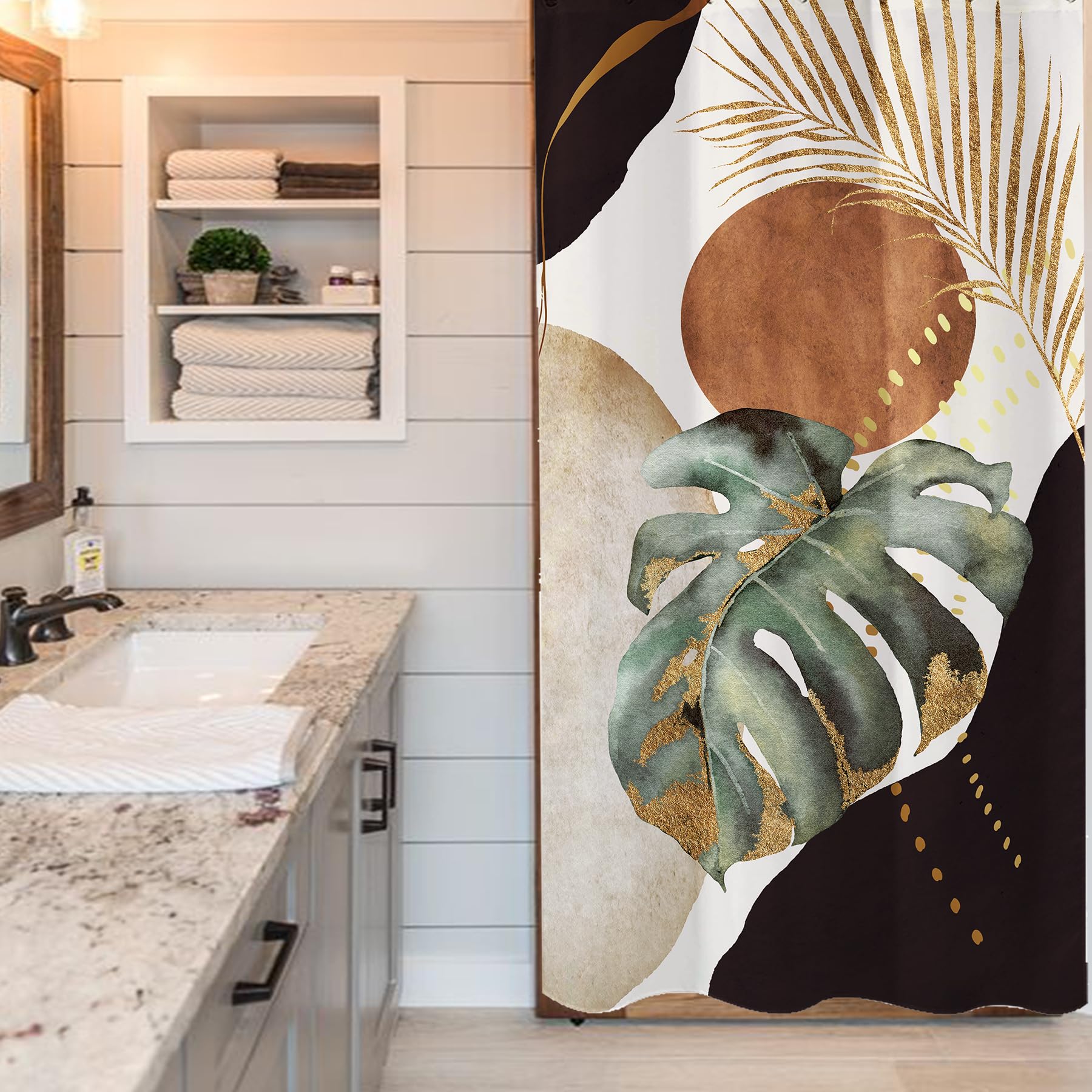 philodendron sun Philodendron Sun Red