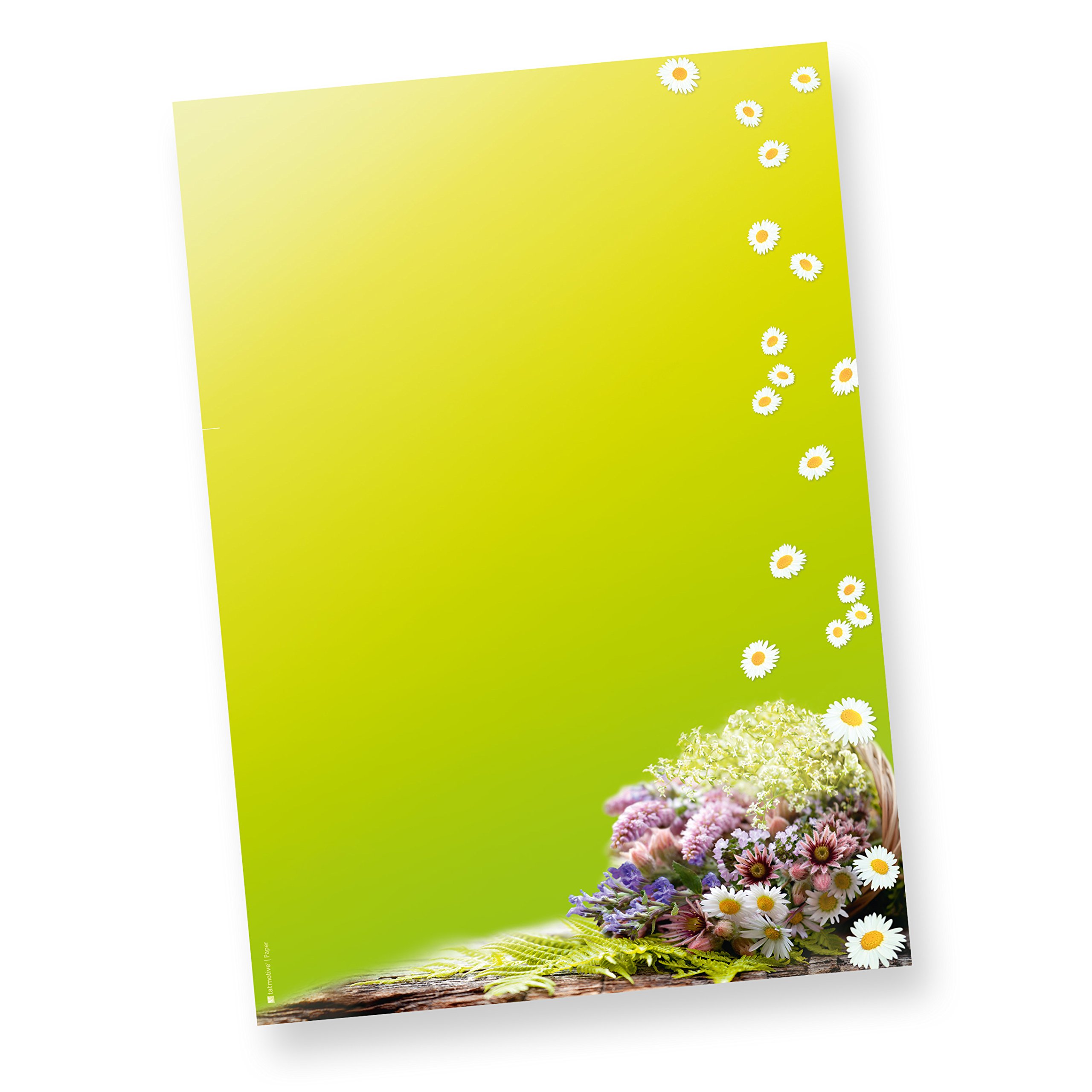 TATMOTIVE Briefpapier-Motiv Set Grünender Frühling mit Blümchen + Umschläge - 100 Sets - grün