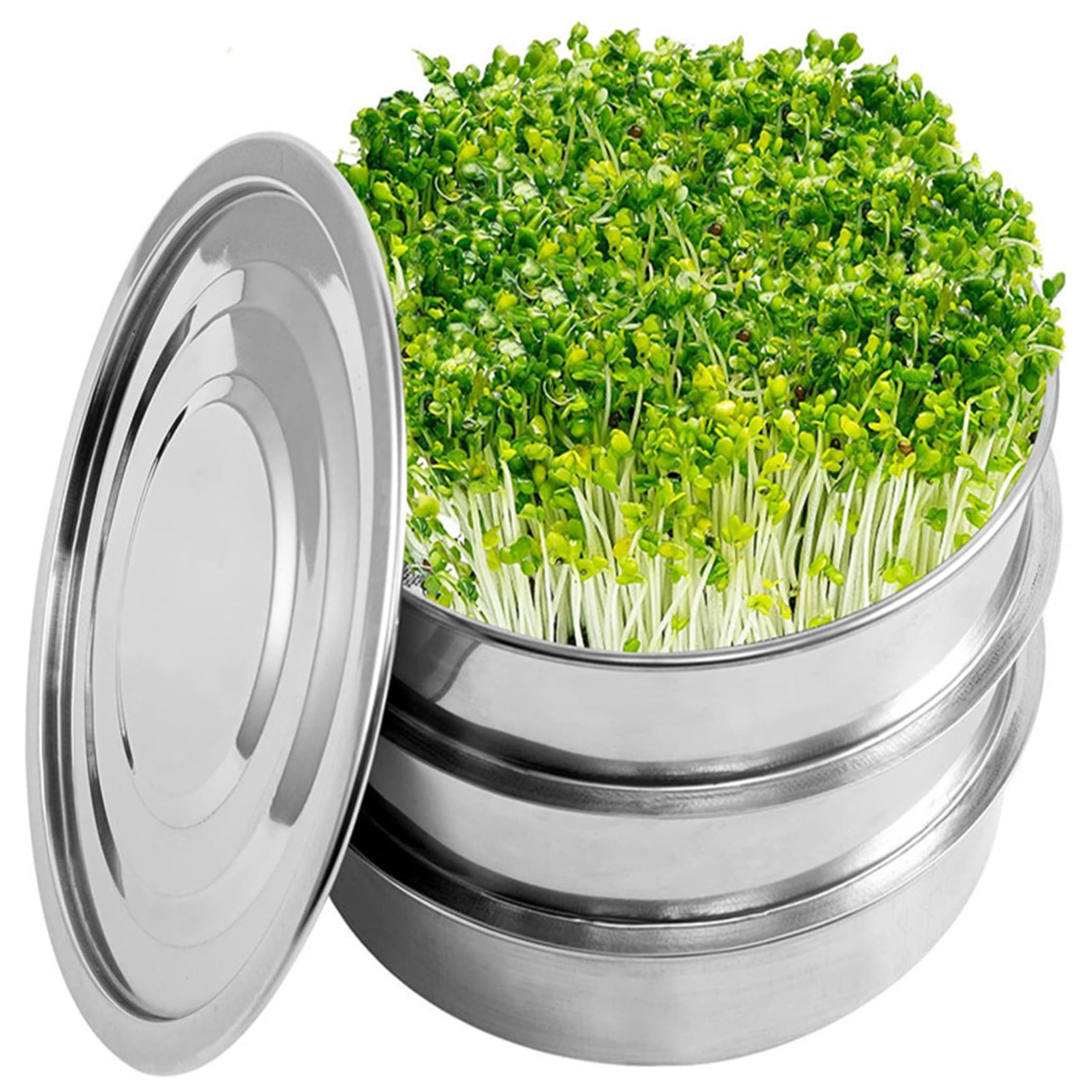 Sprossen-Anzuchtset, 8, 5 Zoll großes 2-stöckiges Sprossen-Anzuchtset, stapelbare Sprossenschalen für Samenkeimschalen für Microgreens-Bohnen