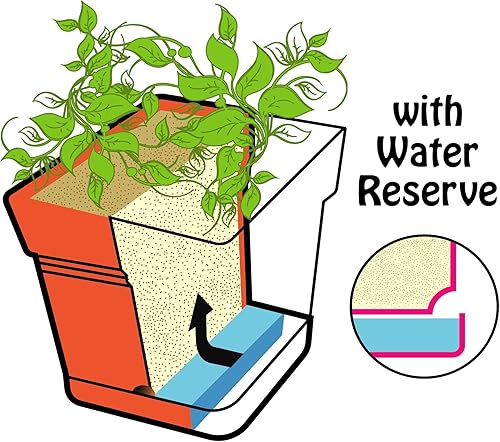 Miniatura 11 de Mintra - Macetas de plástico para plantas, maceta cuadrada para plantas de interior y exterior, macetas de jardín con platillos y agujeros de verde