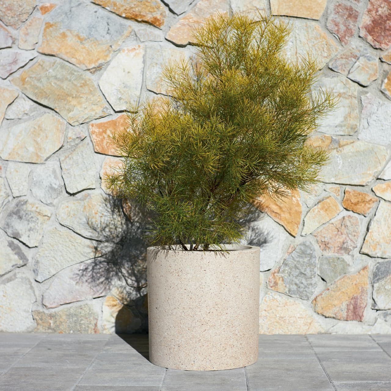 Amazon.co.jp: 植木鉢 大型 中型 サンディス シリンダー ベージュ M 45