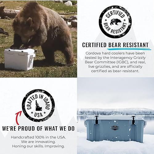 Miniatura 3 de Cordova Outdoors Basecamp Class Enfriador duro - Cofre de hielo aislado y rotomoldeado