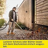 Kärcher WD 2 Plus V-12/4/18/C Wet/Dry Vacuum Cleaner/Blow Function/Power: 1000 W/Plastic Container 12 L/Suction Hose 1.8 m/Includes Cartridge Filter/Dust Bag/Floor and Crevice Tool - 7