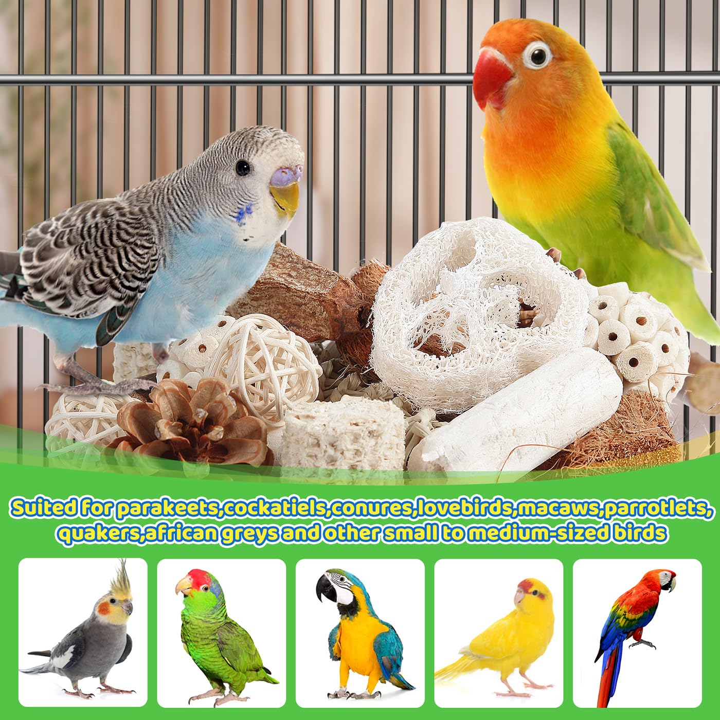 Kyouki Bird Toys Parrot Toys Natural Bird Foraging Box Foot for Parakeets,Cockatiels,Conures,Love Birds,and Other Small to Medium Birds (Medium) - image 3