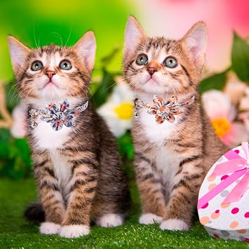 ADOGGYGO Girl Cat Collar with Floral, Spring Flower Kitten Collar, 2 Pack