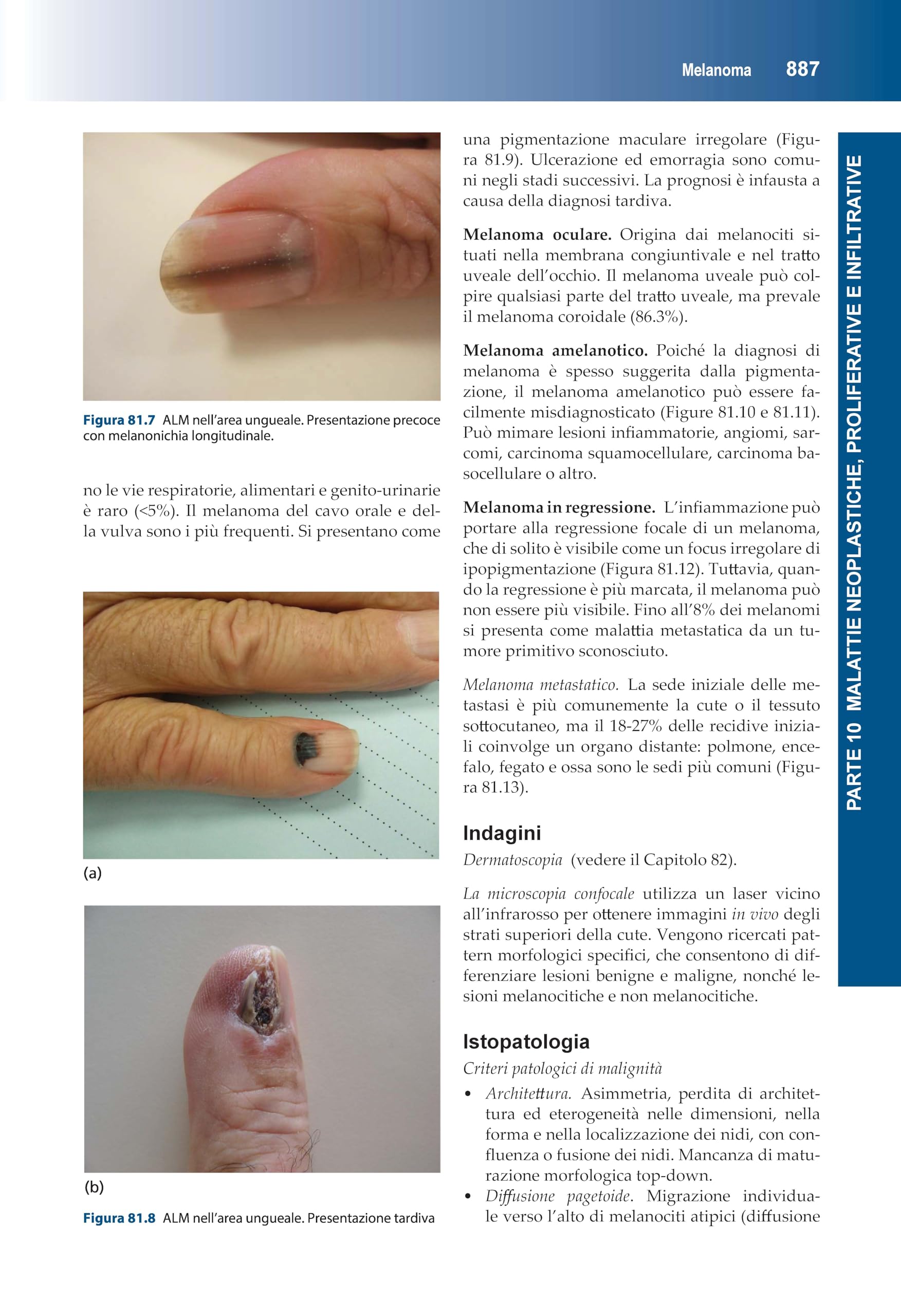 Manuale di dermatologia di Rook