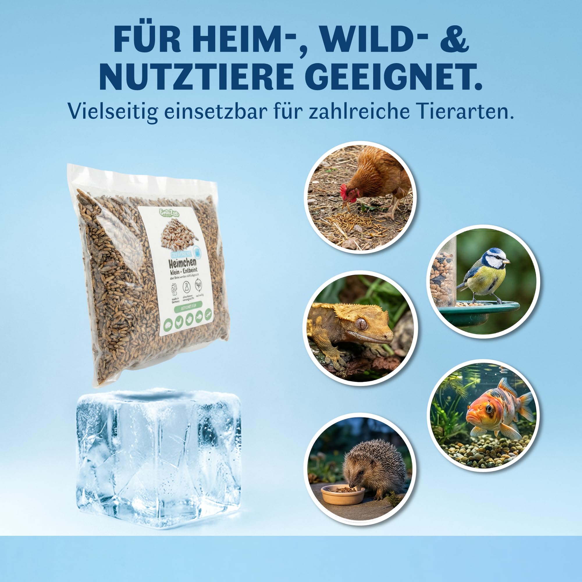 Gefrorene Heimchen – Insekten Vogelfutter für Reptilien, Vögel, Fische & Hühner | Proteinreiche Grillen | Alternative zu Mehlwürmer getrocknet | Made in Germany -2kg groß
