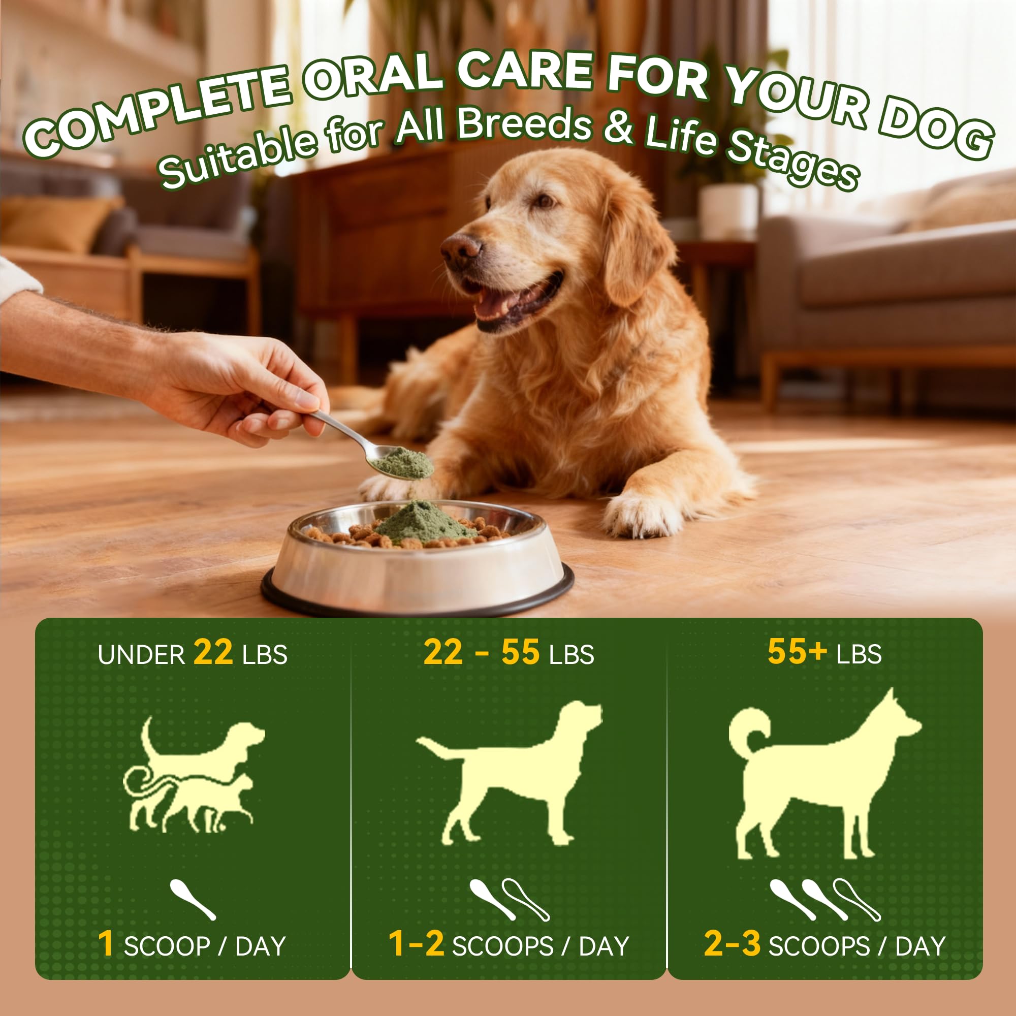 Dog Dental Powder for Plaque and Tartar Support - No Brushing Teeth Cleaning Powder with Probiotics & Natural Kelp | Fresh Breath Dog Oral Care for All Breeds | 1.76oz (50g) - image 5