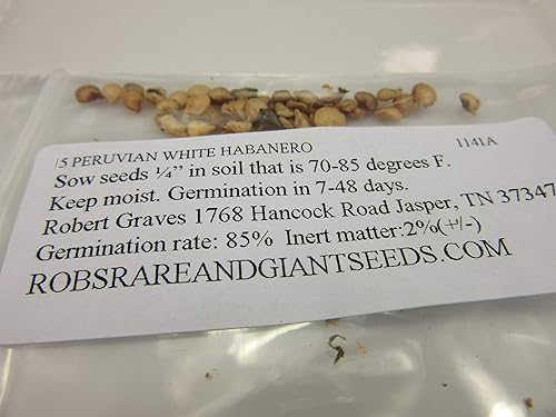 Miniatura 2 de 1141A-Semillas de pimienta habanero blanca peruana (Capsicum chinense) de Robsrareandgiantseeds UPC0764425787655 Super Hot Non-GMO,Organic,Historic