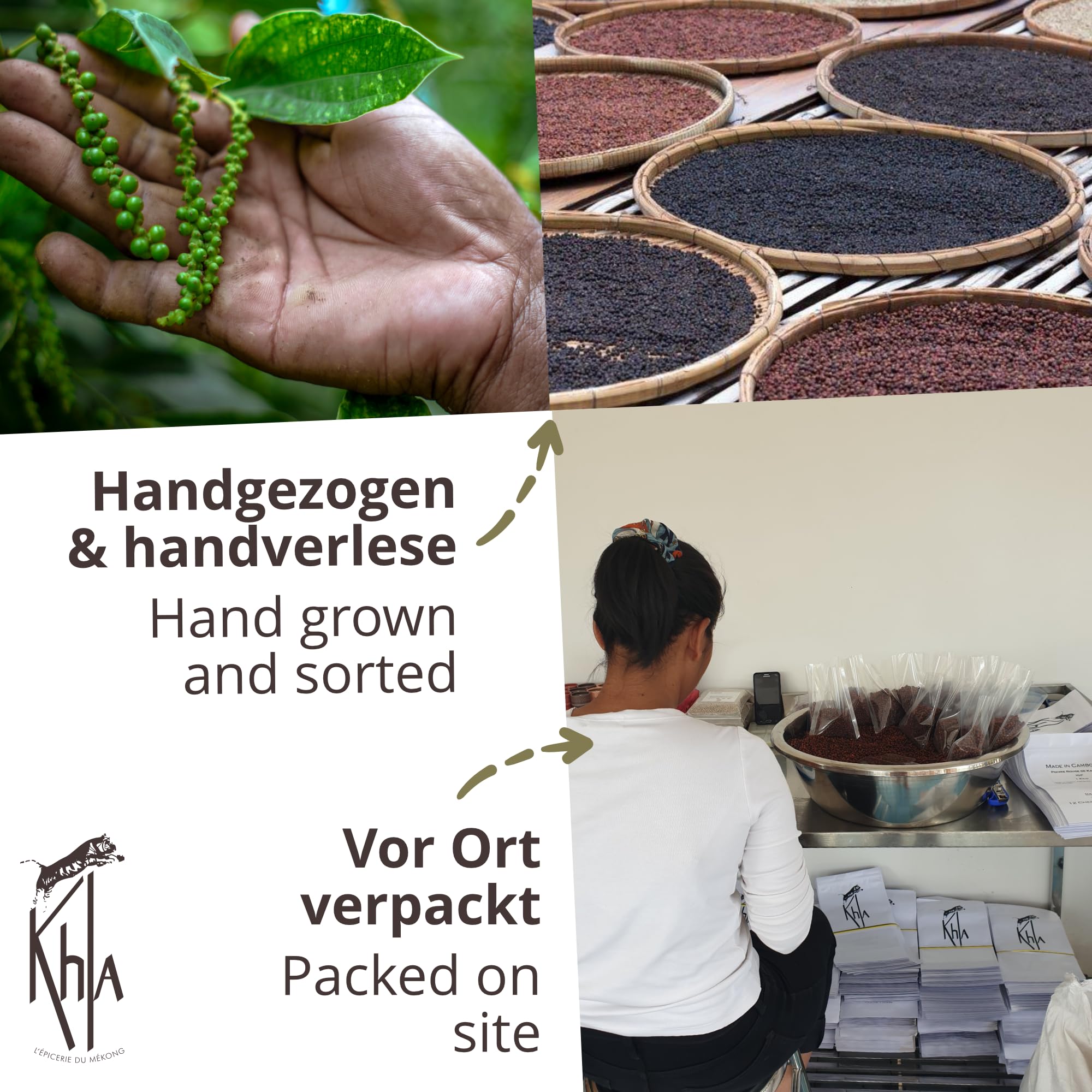 Khla - Grüner Kampot Pfeffer 500g - Frische Ganz Pfefferkörner - Bio-Zertifiziert - Aromatisch & Kräuterig - Direkt vom Erzeuger - Premium Grün Pfeffer - Snack, Saucen - Herkunft Kambodscha
