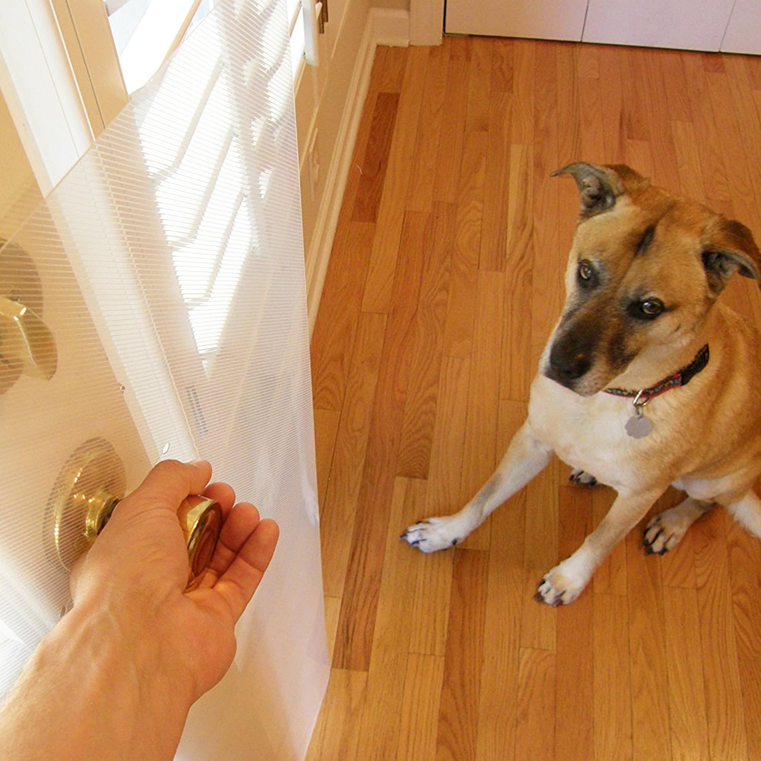 dog scratching door frame protector