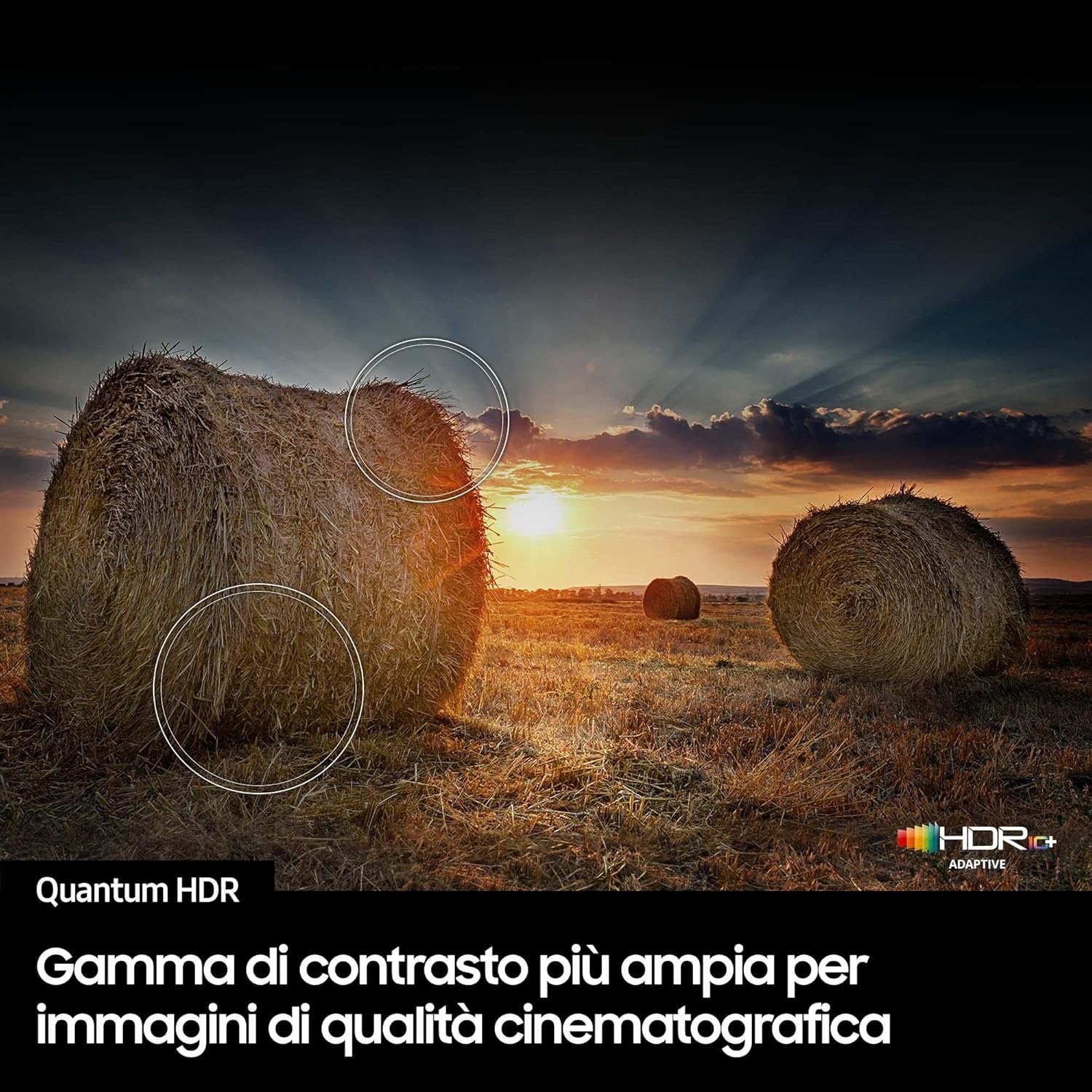 Samsung TV QE65Q65CAUXZT QLED 4K, Smart TV 65 Processore Quantum 4K Lite, 100% volume colore con Quantum Dot, OTS Lite, Integrato con Bixby e Alexa compatibile con Google Assistant, Black 2024 Samsung TV QE65Q65CAUXZT QLED 4K, Smart TV 65 Processore Quantum 4K Lite, 100% volume colore con Quantum Dot, OTS Lite, Integrato con Bixby e Alexa compatibile con Google Assistant, Black 2024