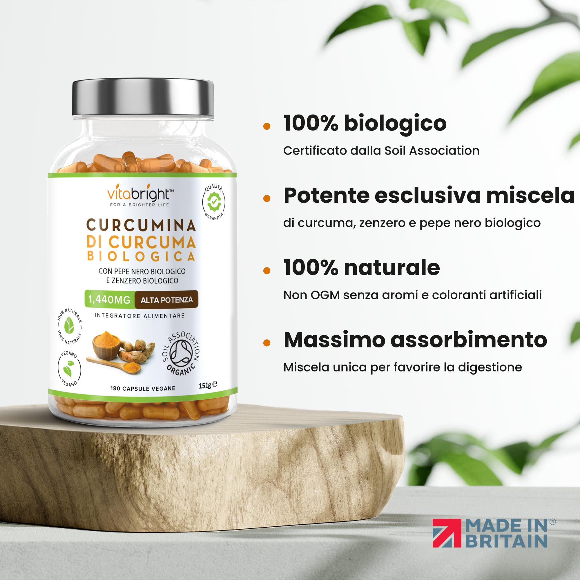 Bio Curcuma Capsule con Pepe Nero e Zenzero 1440 mg | 180 Capsule | 3 Mesi di Fornitura | Fonte di Curcumina e Piperina | Integratore Alimentare Biologico | VitaBright Curcuma Longa Complex