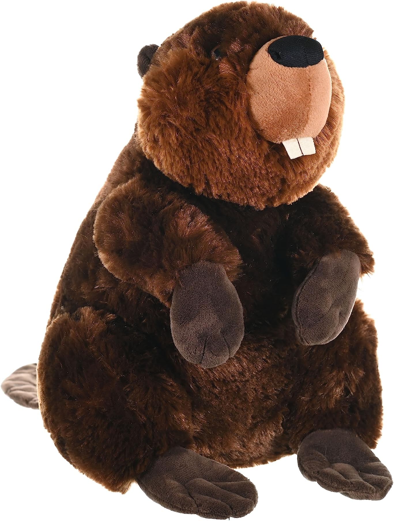 Beaver Plush, Stuffed Animal, Plush Toy, Kids Gifts, Cuddlekins, 12"