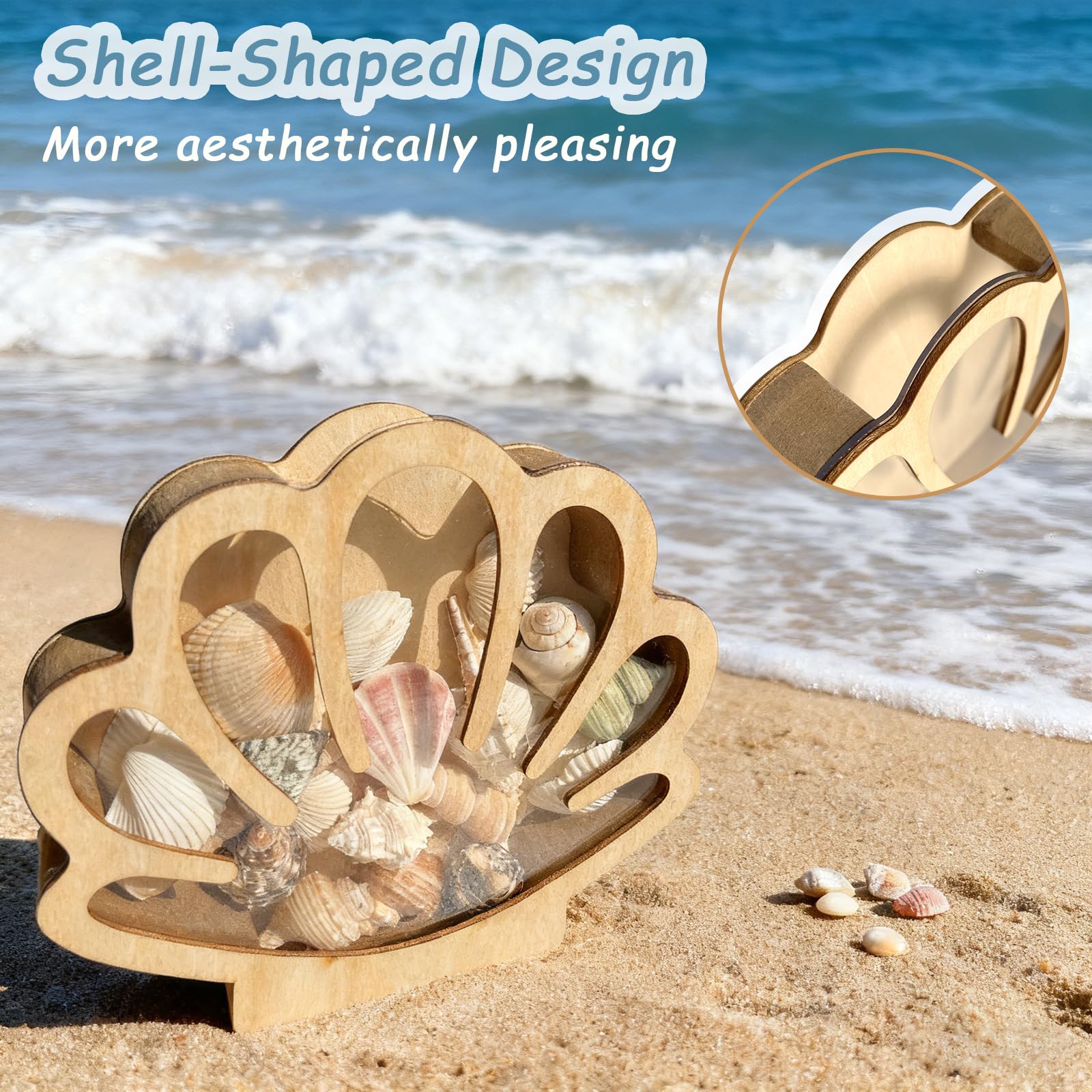 Caja de almacenamiento de madera con ventana acrílica, soporte de concha de mar, cristal de mar, dientes de tiburón, estrella de mar, caja de exhibición de sombra, caja de colección de