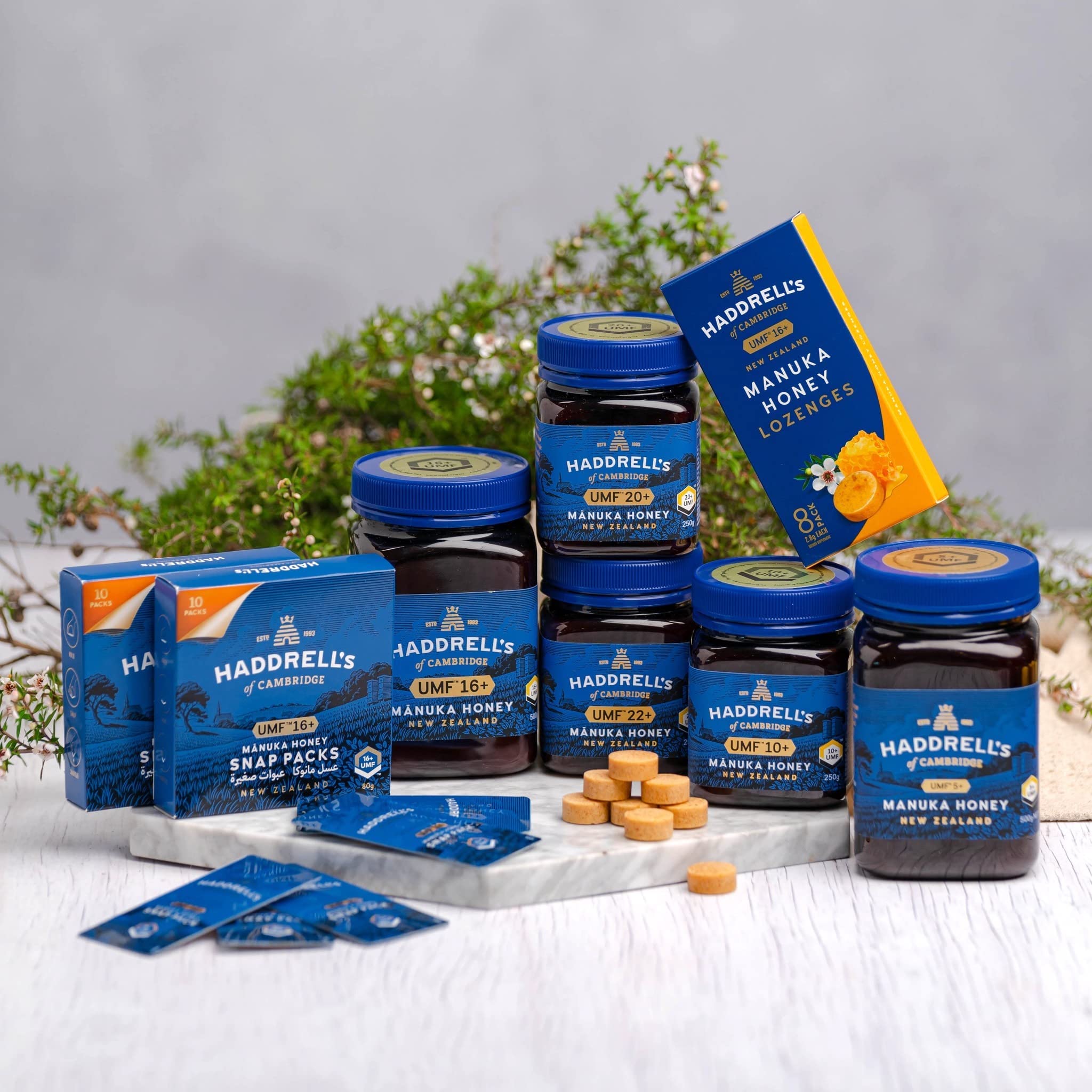 Haddrell's of Cambridge | Miel de Manuka MGO 850+ (UMF 20+) | Miel Pur de Nouvelle-Zélande | 250 g