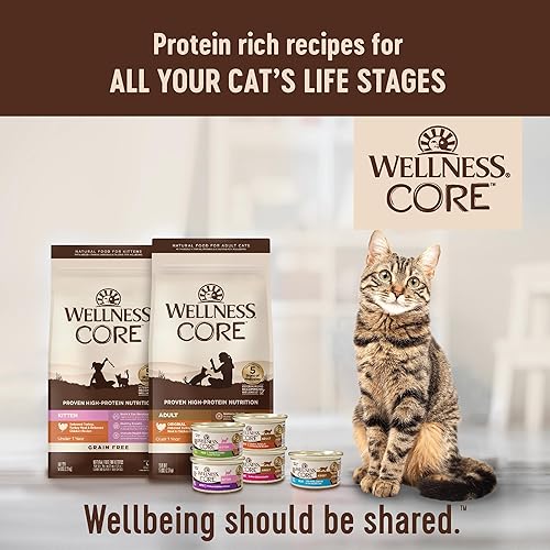 Miniatura 9 de Wellness CORE - Alimento húmedo para gatos sin granos, alimento enlatado natural para gatos, hecho con carne real (paté de pavo y pato, latas de 3