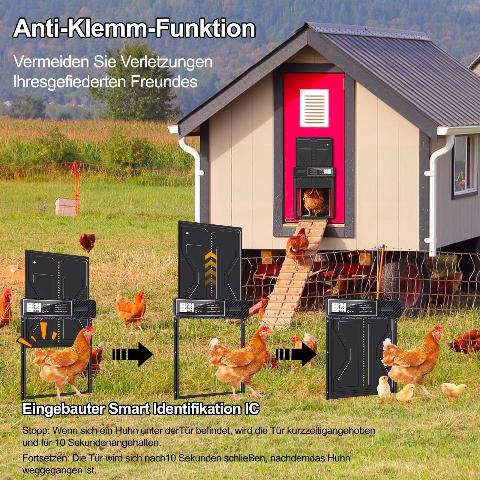 Lèvre de poulet automatique en aluminium avec batterie électrique et écran étanche, grande minuterie