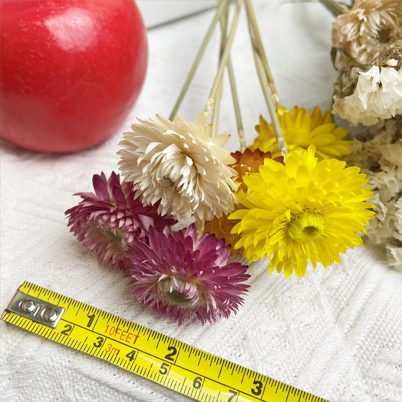 L'BREVOGA Bouquets de fleurs séchées, 16 pièces 100 % naturelles marguerites fraises pour décoration de fête à la maison – Rose et blanc