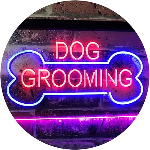 ADVPRO Señal de neón LED de doble color azul y rojo de 16 "x 12" st6s43-i2529-br