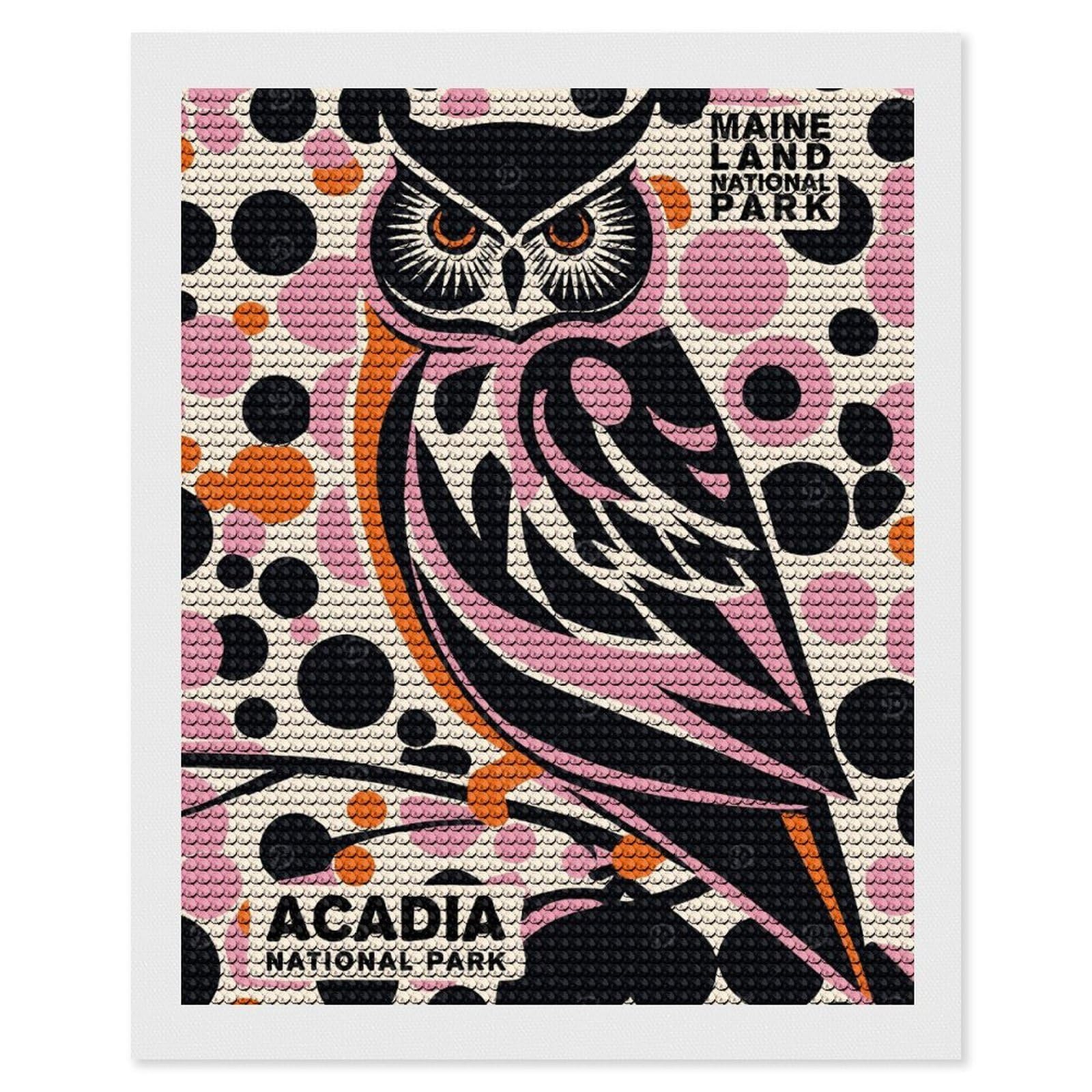 Junmoney Owl Acadia National Park Diamond Art Kit 16"x20", Holiday Gift Idea, for Women, Easy Handmade Project, Vintage Style Decor, Printed Canvas