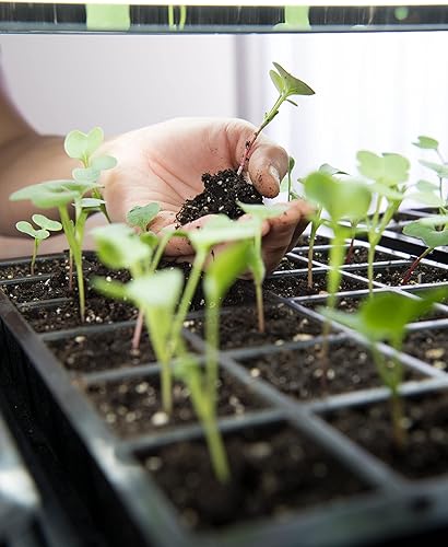 Miniatura 6 de Gardener's Supply Company Stack-n-Grow - Base de luz LED  Estante de jardín de invernadero interior para bandejas de iniciación de semillas, plantas