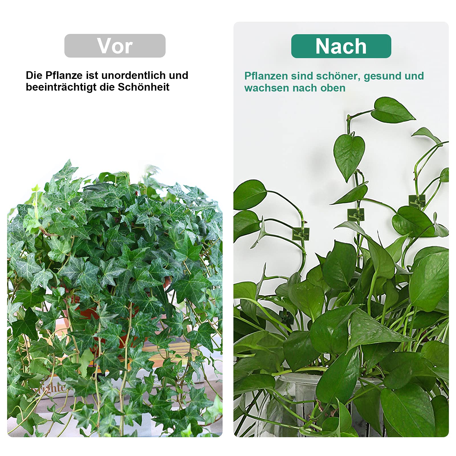 Yasmous 50 Pflanzenclips Selbstklebend - Kletterpflanzen Halterung Für Wand, Glas & Fliesen