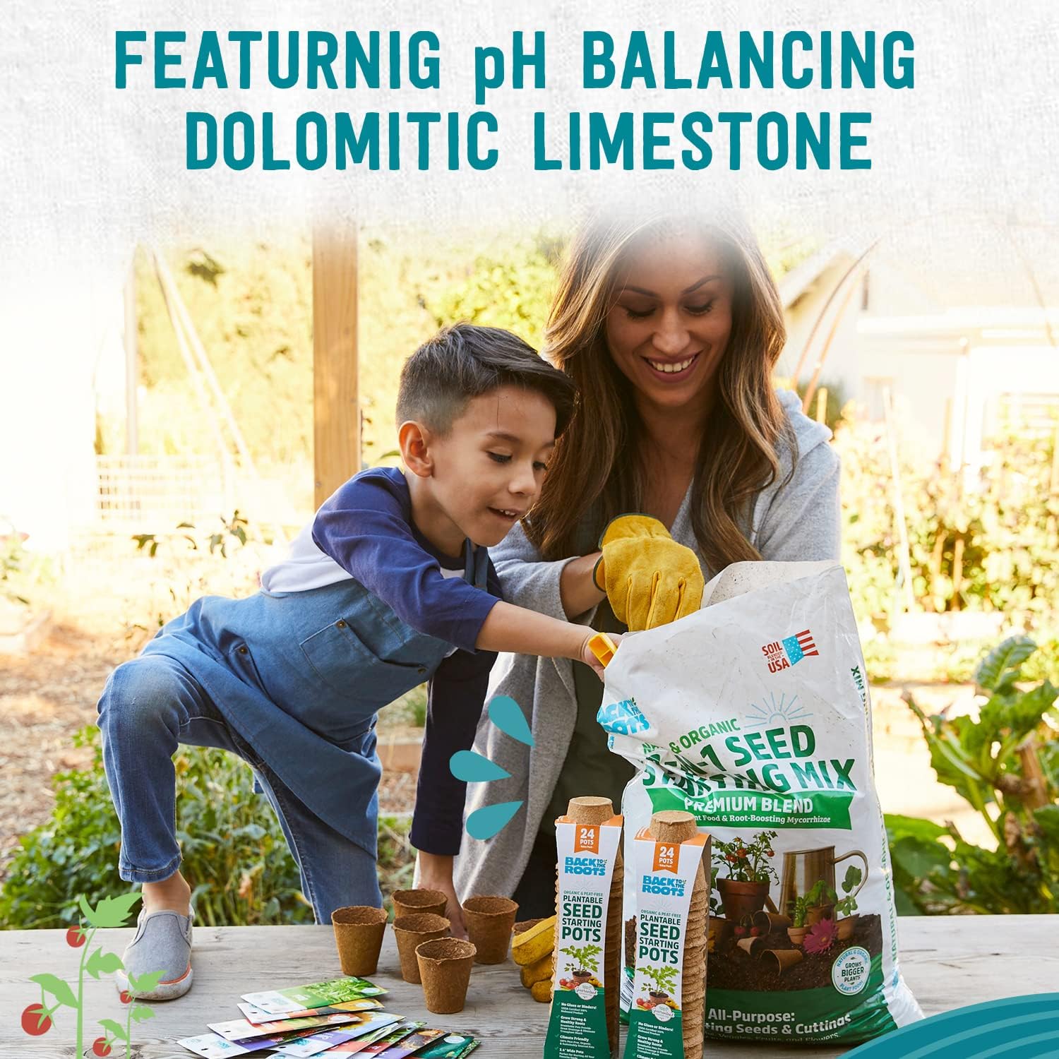 Back to the Roots Natural & Organic Peat-Free 3-in-1 Seed Starting Mix - Ready to Use Root Boosting Gardening Soil Mix for Indoor and Outdoor Plants, Vegetables, Herbs, Fruits, & Flowers – 12 QT : Patio, Lawn & Garden