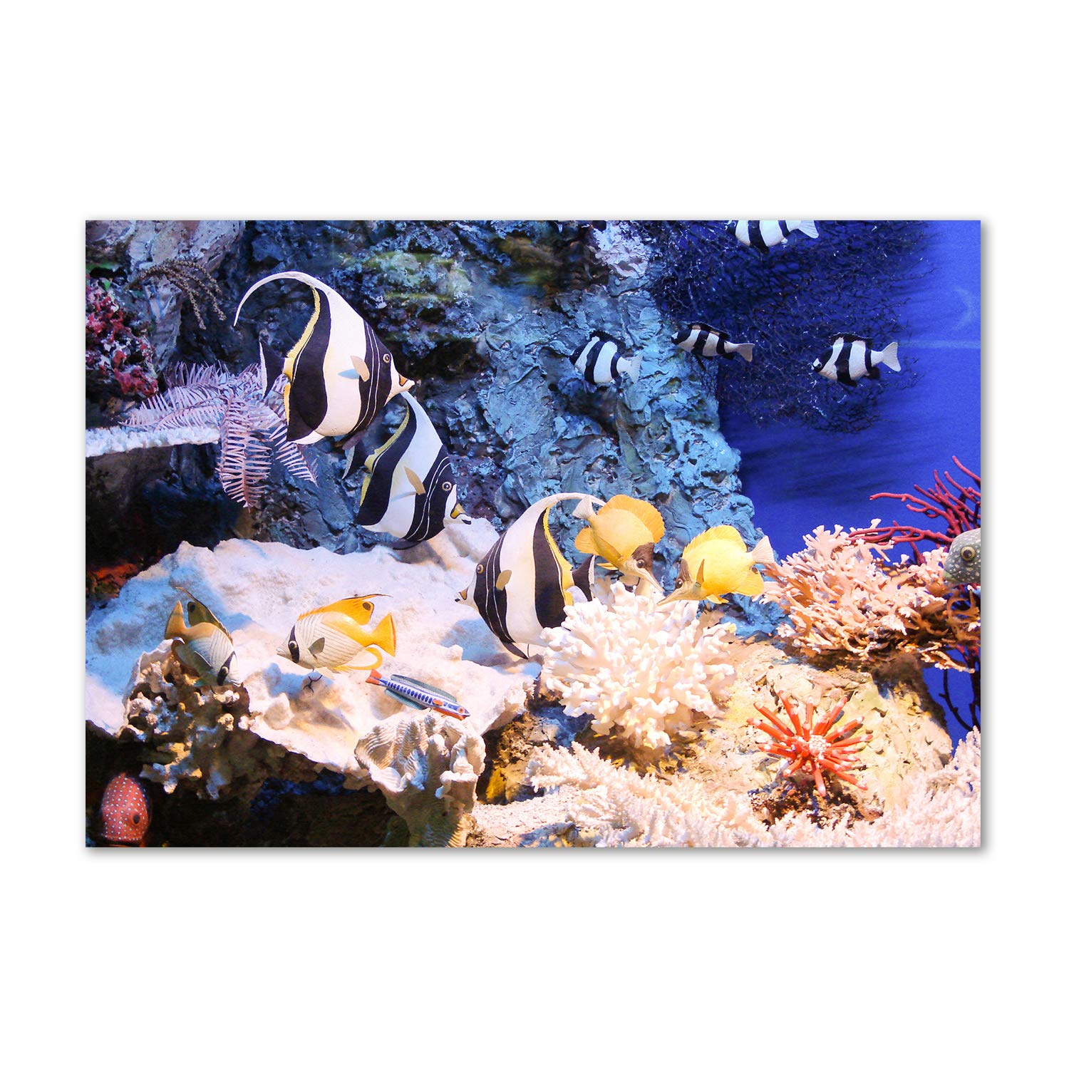 Tableau animaux acrylique Tulup incassable pour décorer sans risque