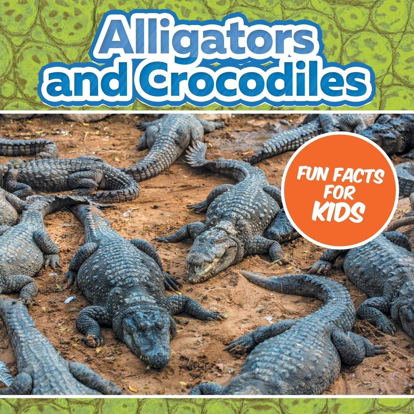 Baby ProfessorAlligators and Crocodiles Fun Facts For Kids