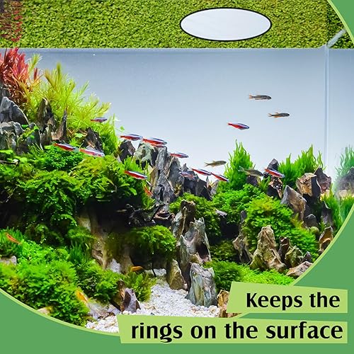 Miniatura 6 de Pangda 10 anillos flotantes para acuario, anillo de alimentación de peces, corral de plantas flotantes para mantener las plantas de alimentos en su