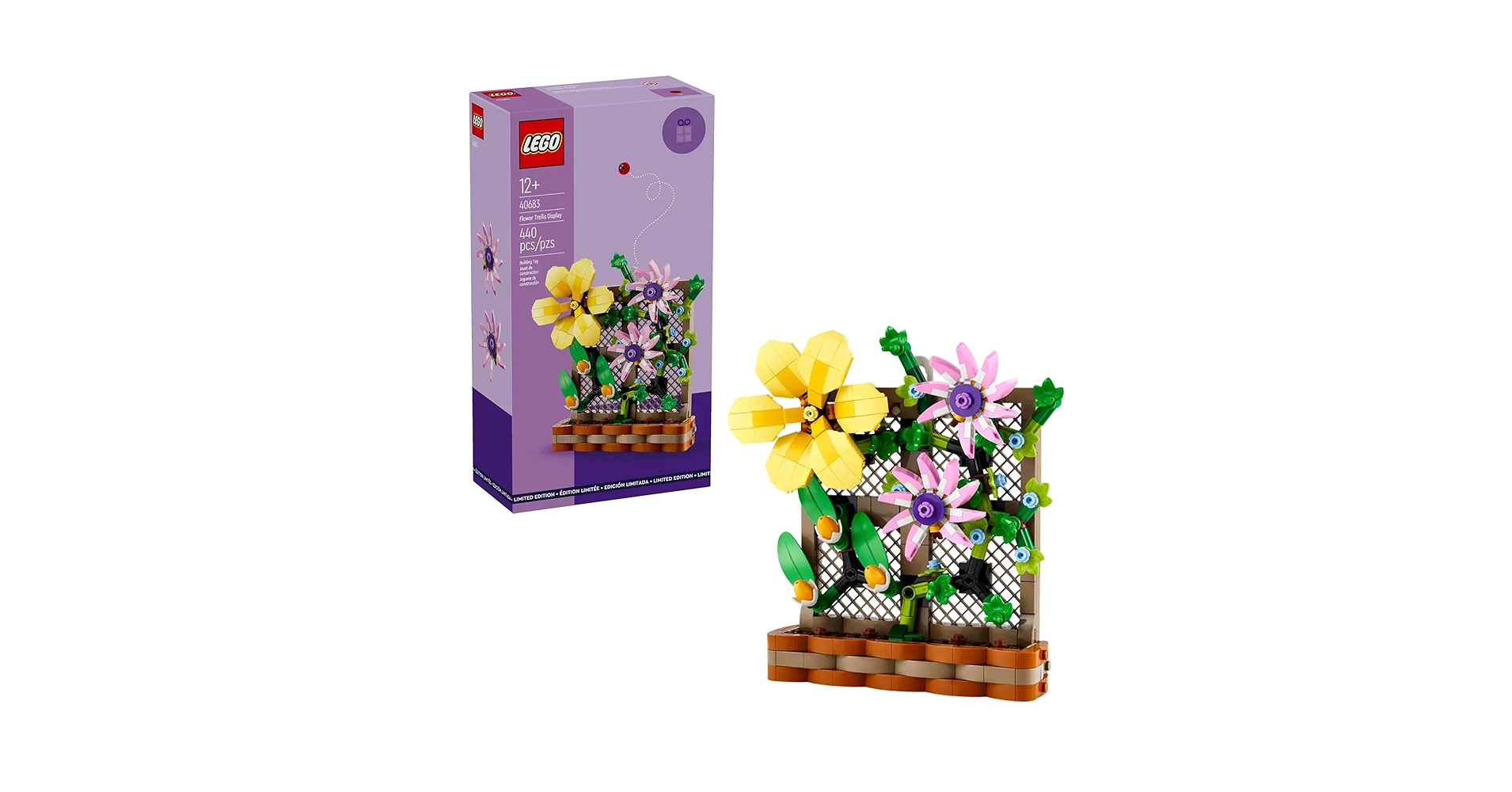 81nq4BiNXKL.jpg_BO30,255,255,