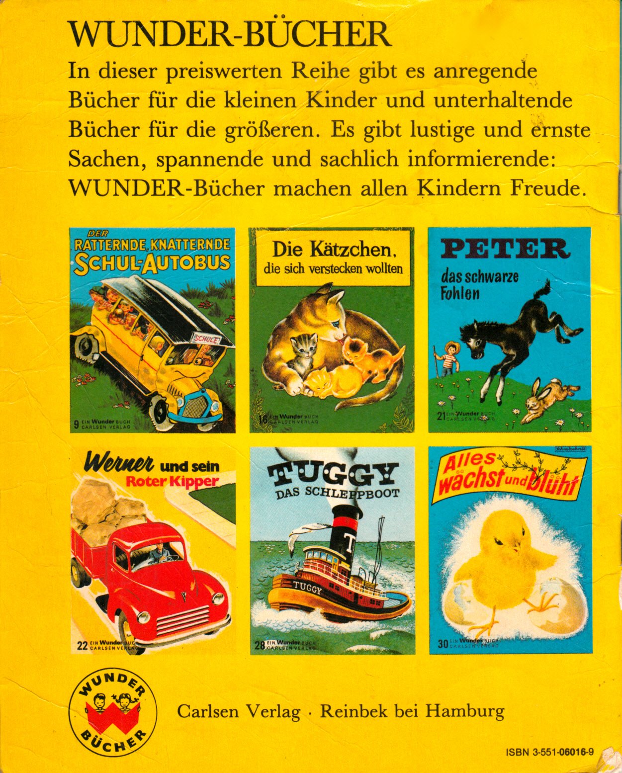 Die Kätzchen, die sich verstecken wollten - Ein Wunder-Buch 16
