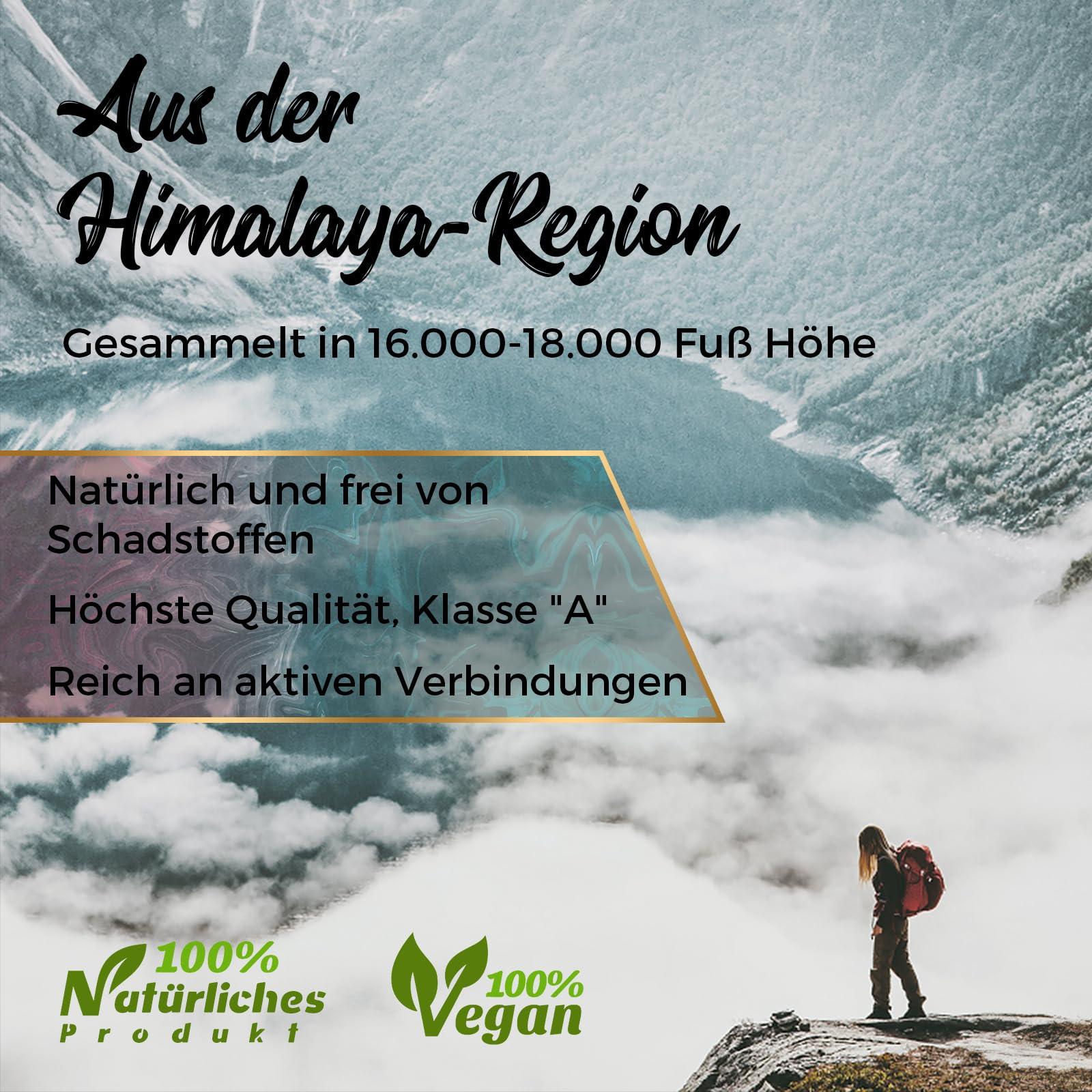 Shilajit Harz - Original Himalaya Shilajit mit Fulvinsäure und Spurenmineralien, Vegan & Ohne Zusätze,30g (2er Pack)