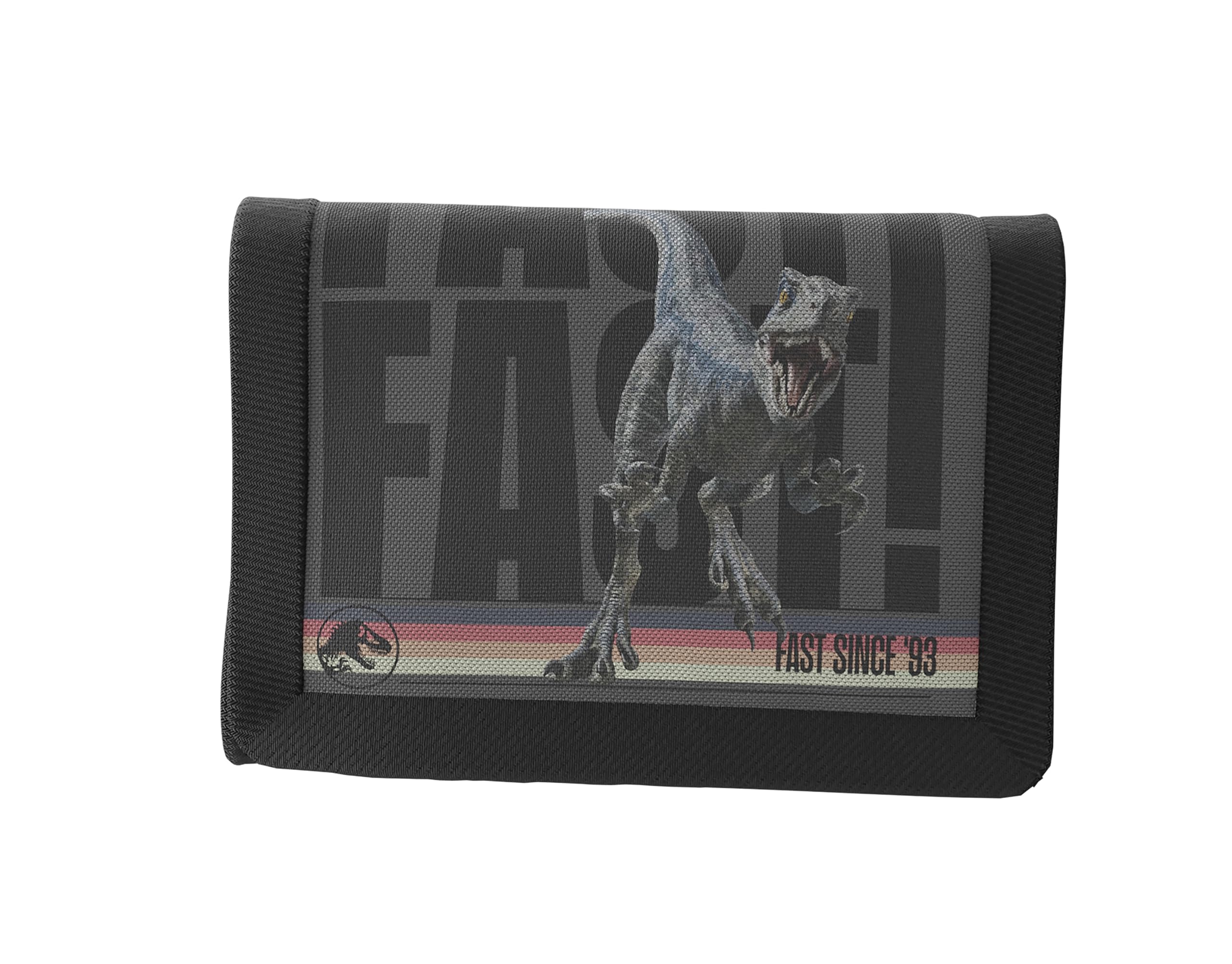 CYPBRANDS Unisex Kid's Jurassic World Roar wallet, grey, One Size