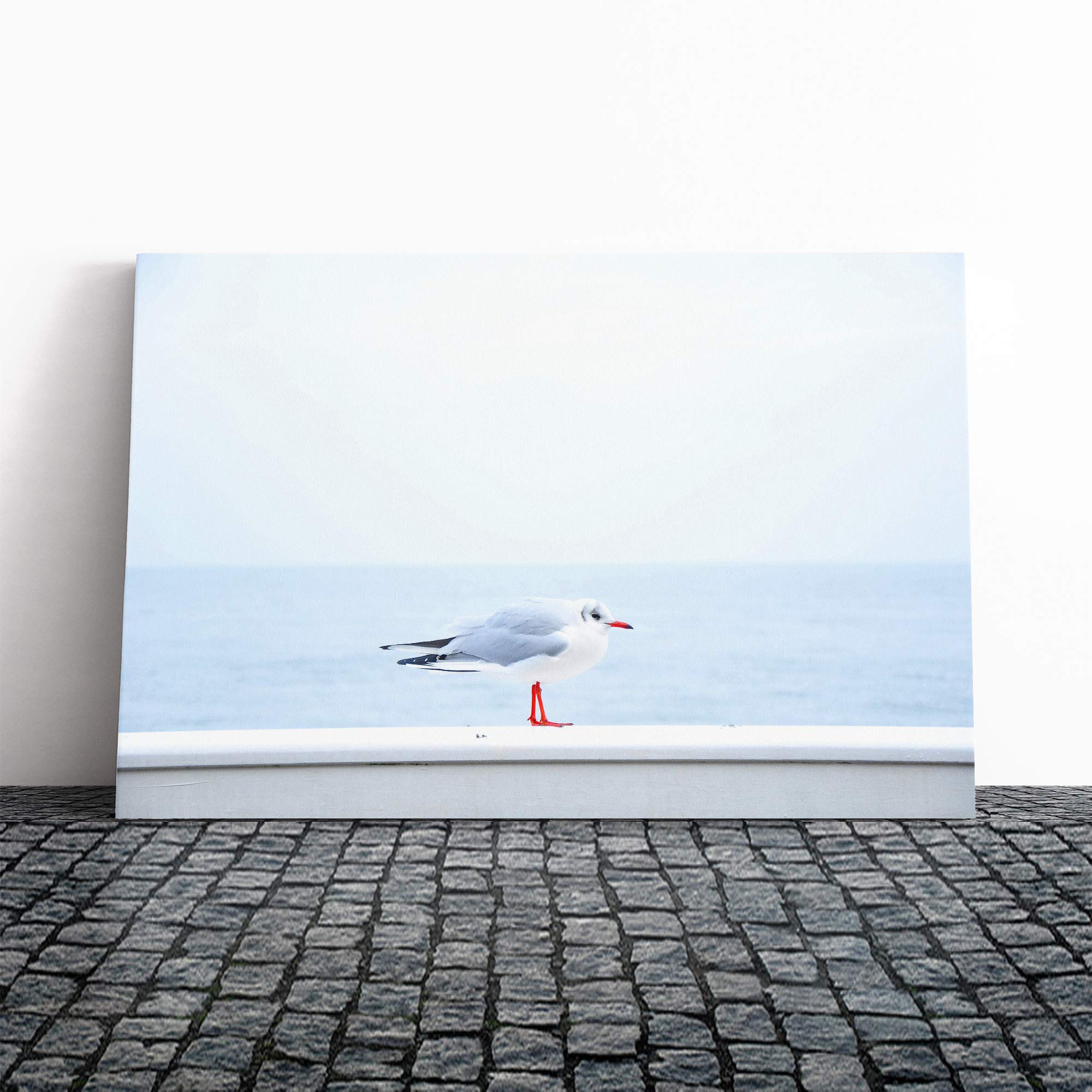 Resting Seagull Bird Seascape Canvas Print | Gallery Wrapped 30mm Frame Wall Art | 30x20 inches | Ready to Hang | Modern Animals Picture | Living Room Bedroom Lounge Office