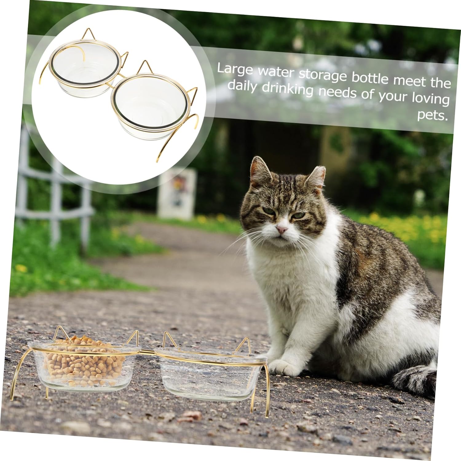 Elevated Cat Food Feeder with Tilted Bowls and Stand Transparent Neck Protection Design for Cats Pet Drinking Dishes to Reduce Waste and Ease Eating